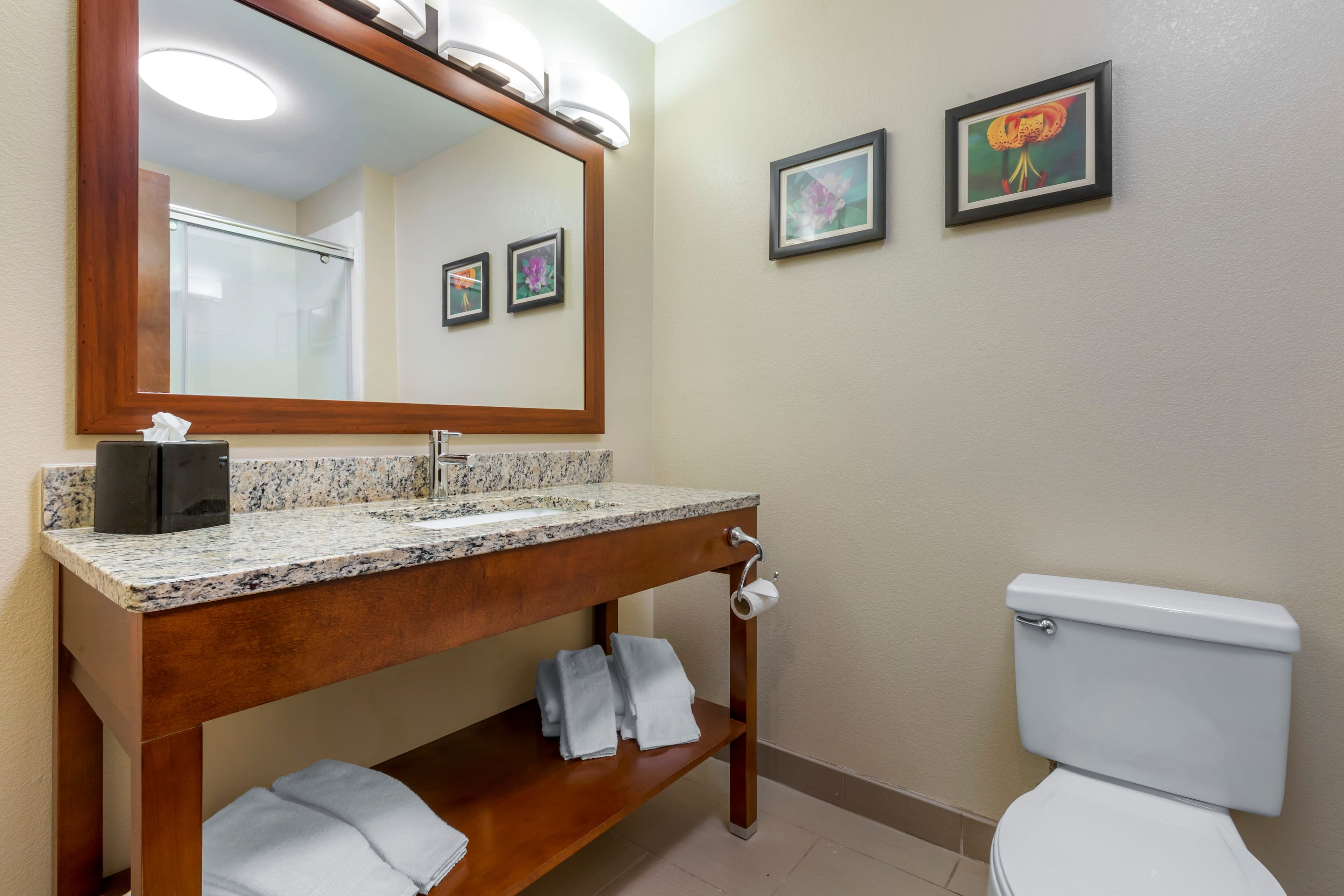 Comfort Inn & Suites Lenoir Hwy 321 Northern Foothills — 19