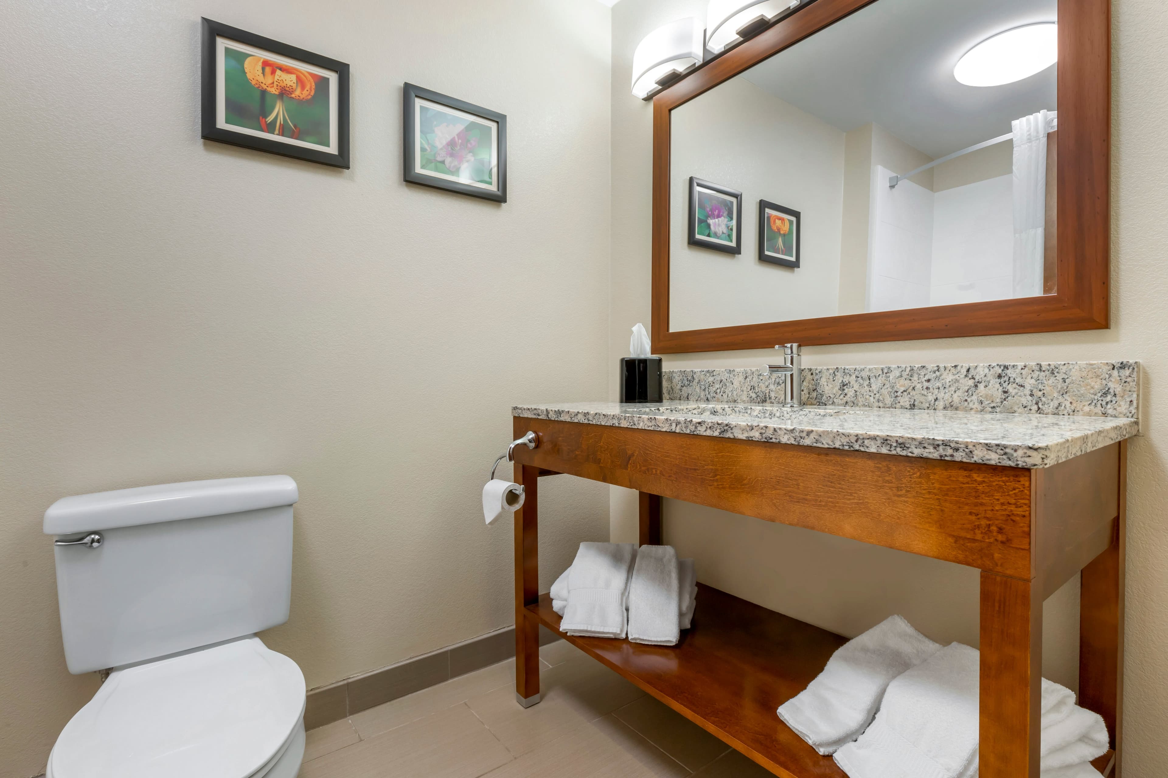 Comfort Inn & Suites Lenoir Hwy 321 Northern Foothills — 25
