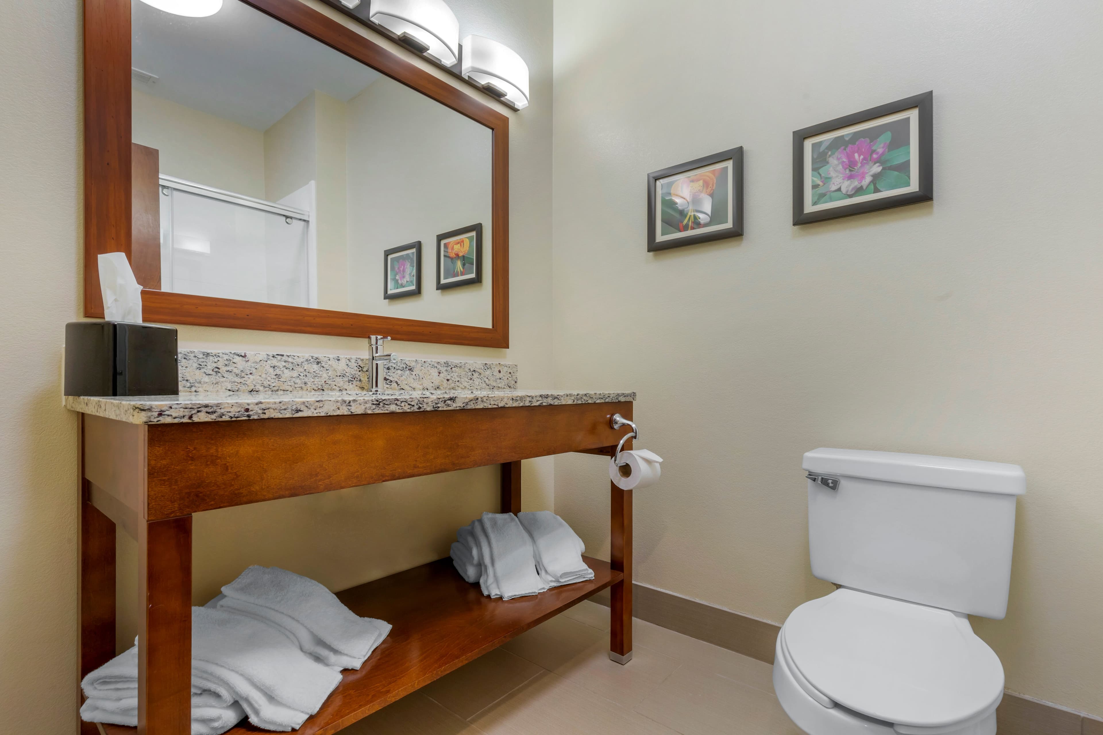 Comfort Inn & Suites Lenoir Hwy 321 Northern Foothills — 30