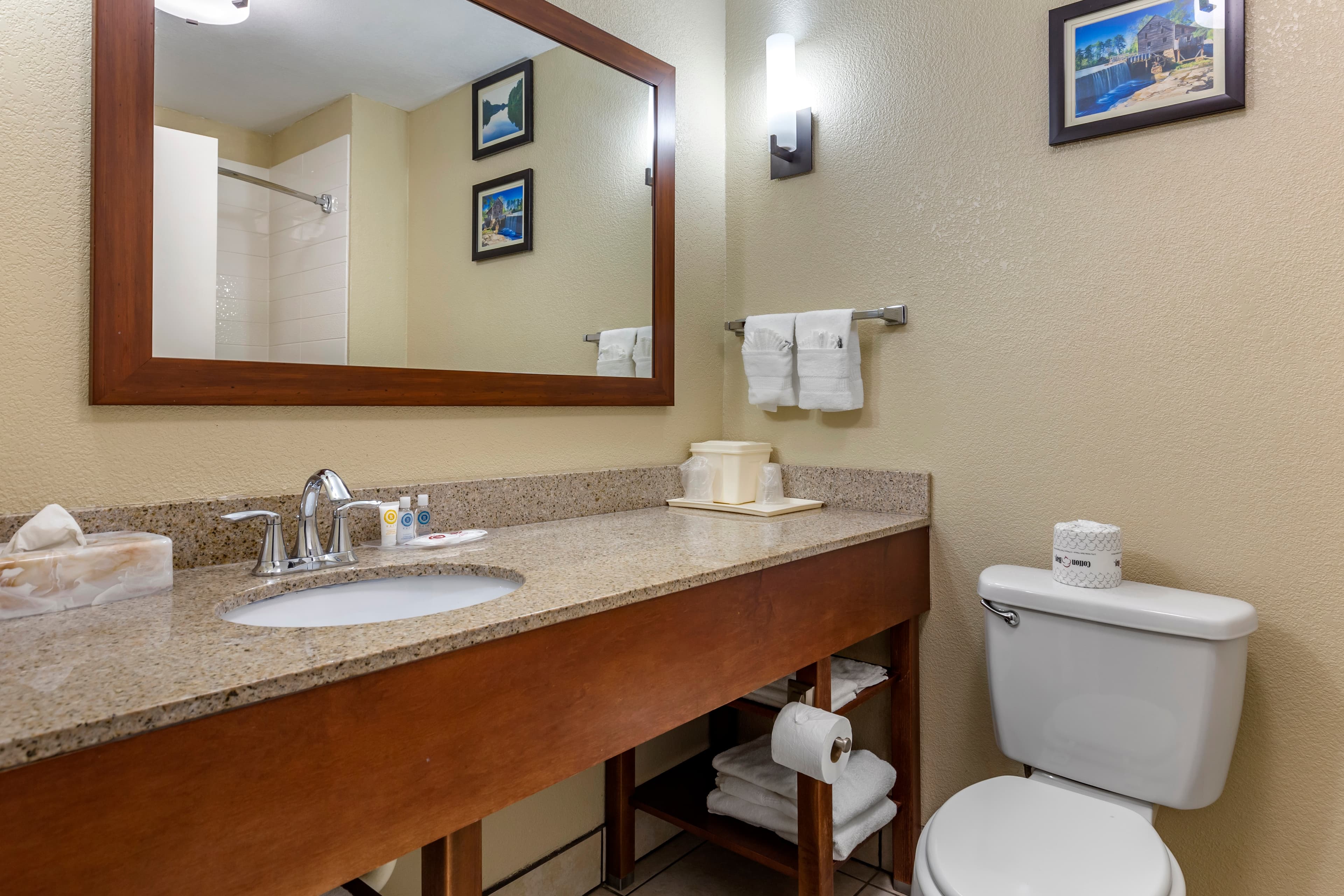 Comfort Suites Clayton - Garner — 9