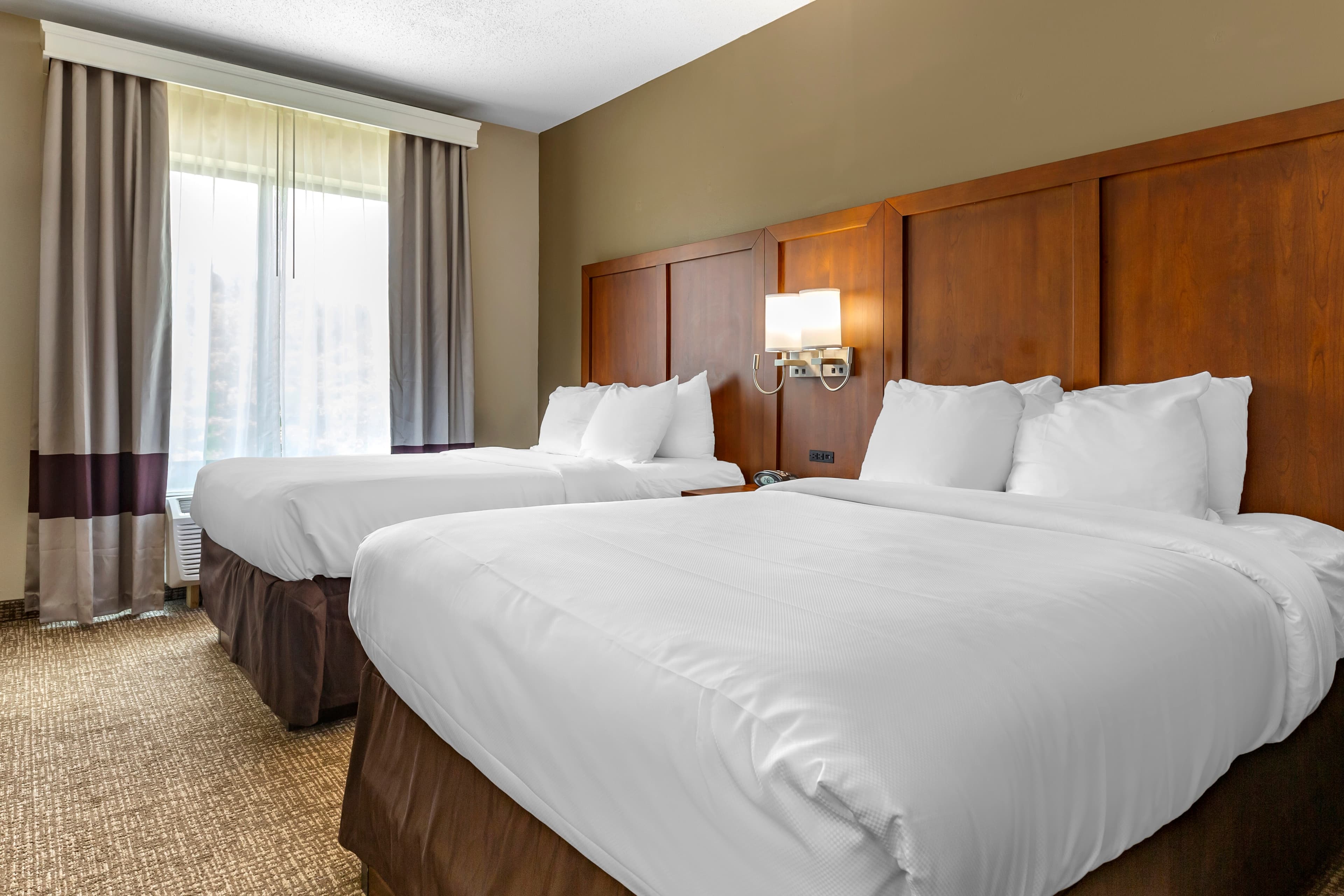 Comfort Suites Clayton - Garner - Image 4