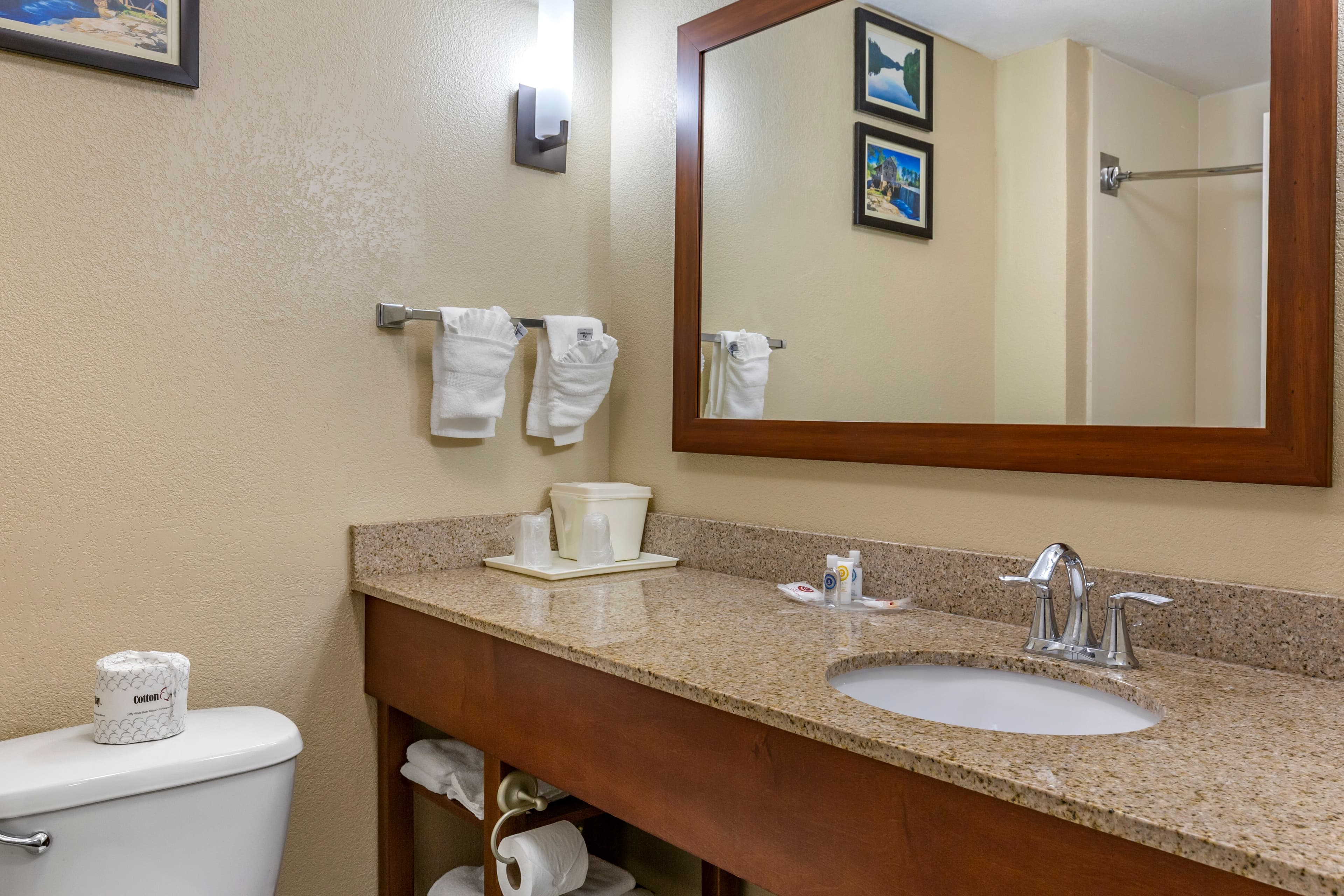 Comfort Suites Clayton - Garner — 13