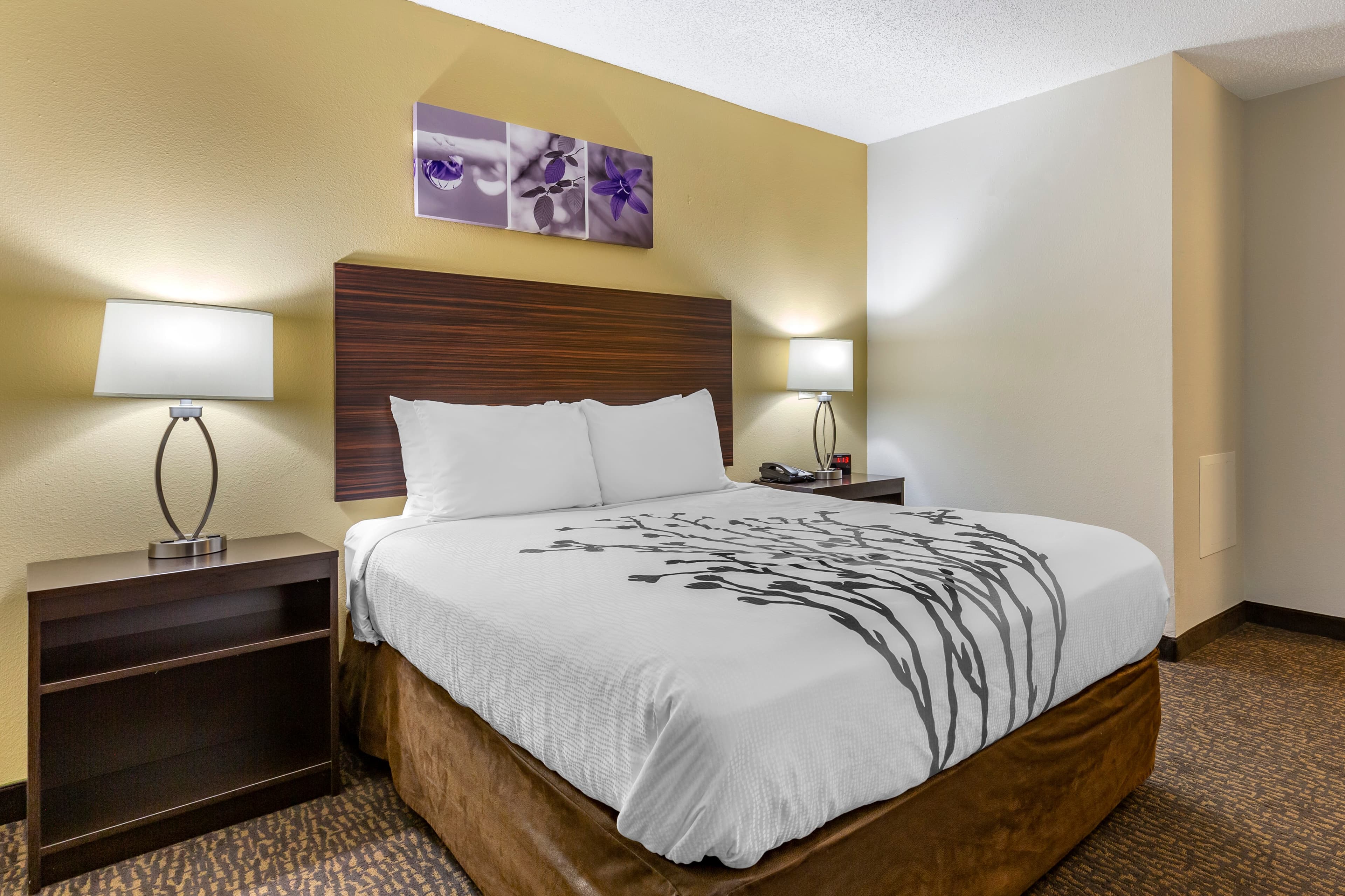 Sleep Inn Henderson I-85 - Image 3
