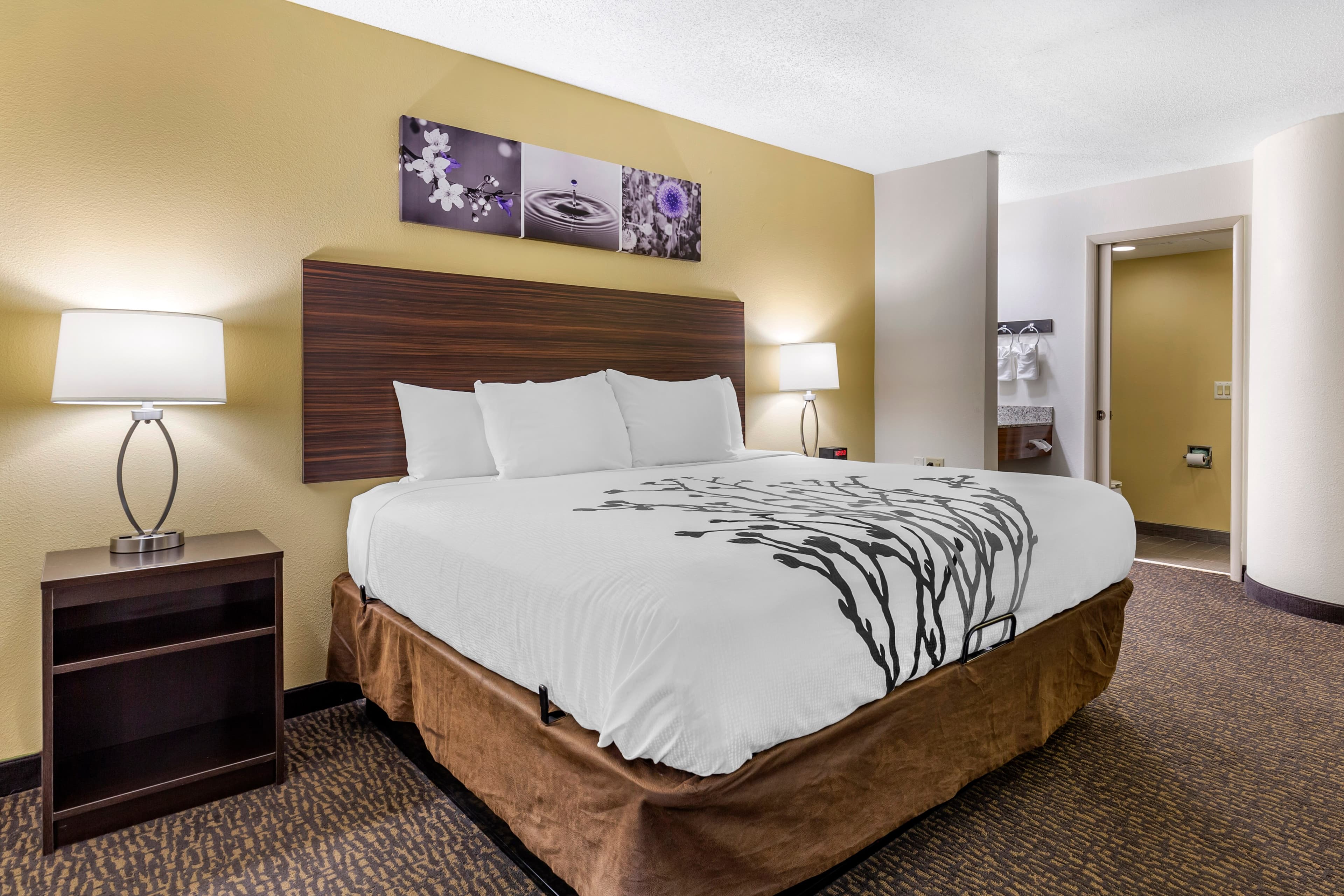 Sleep Inn Henderson I-85 — 6