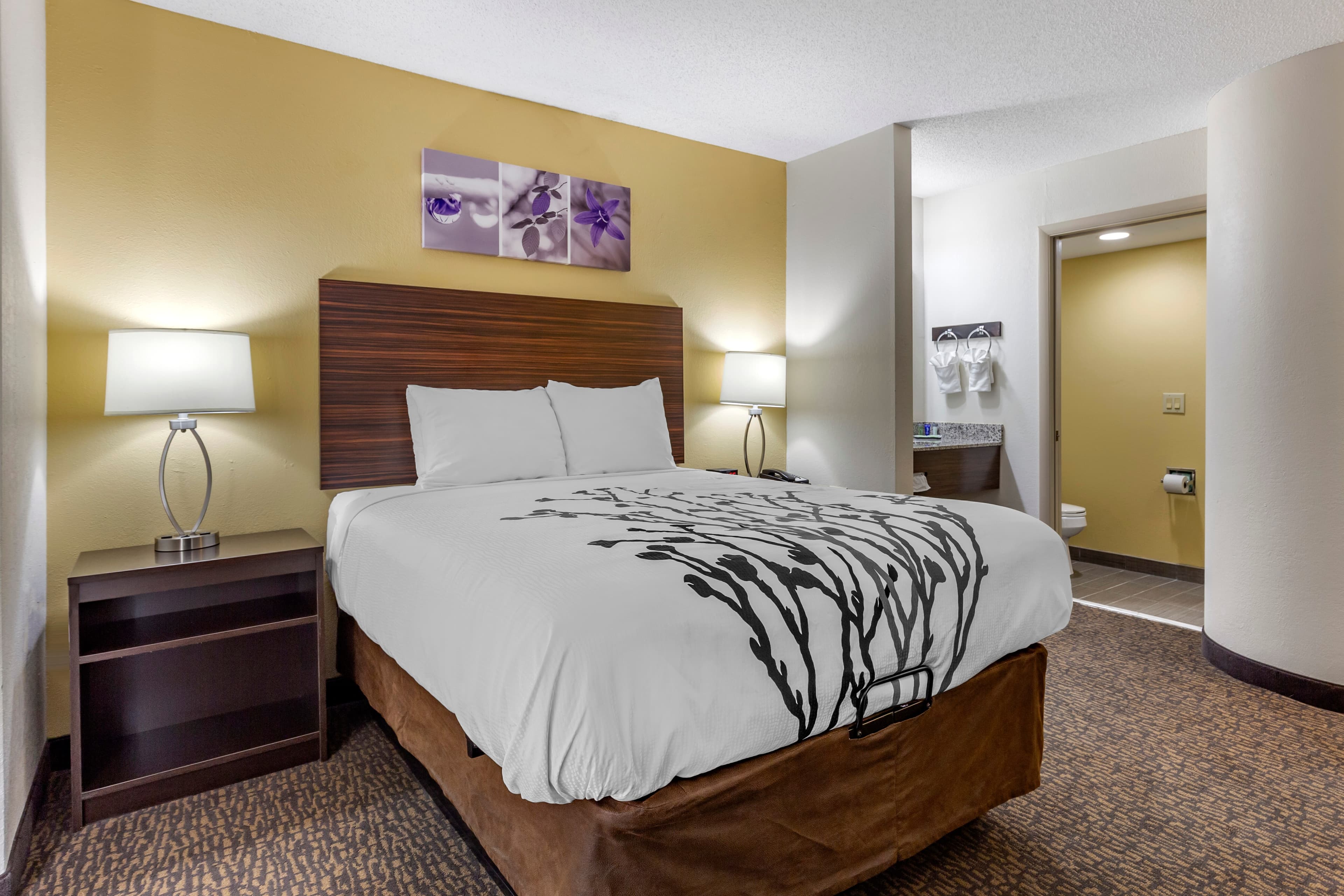 Sleep Inn Henderson I-85 — 10