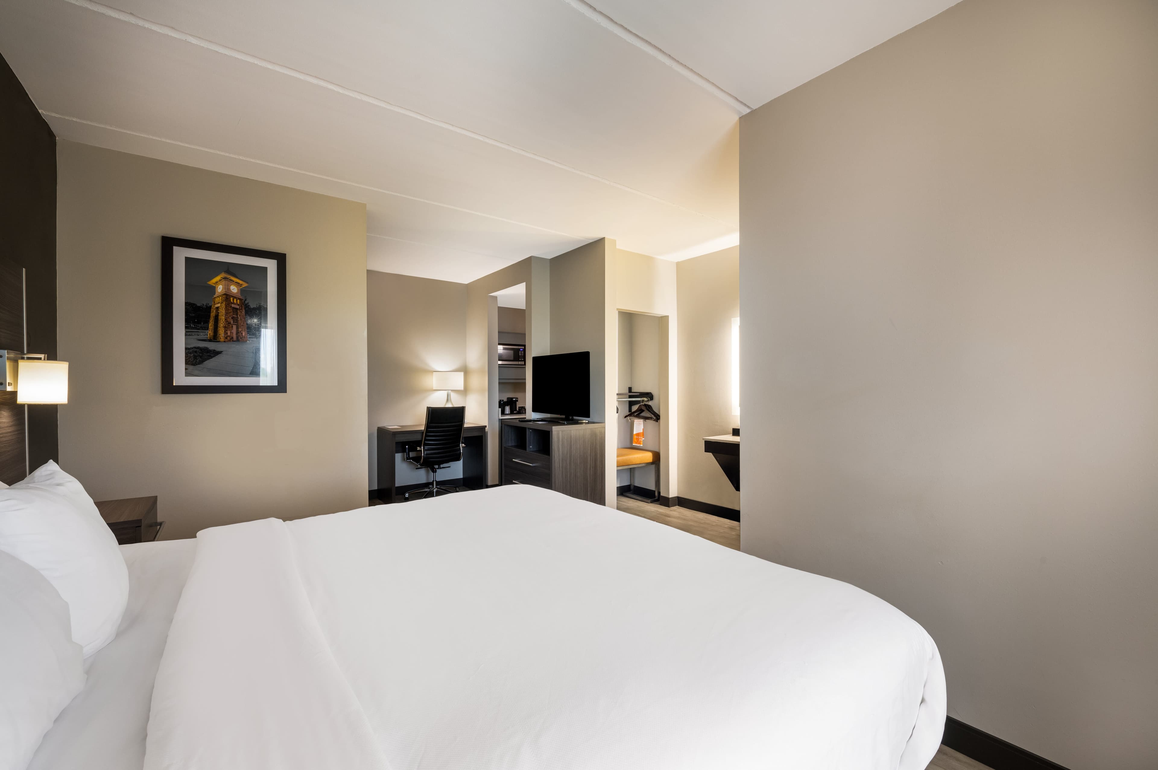 Comfort Suites Northlake — 16