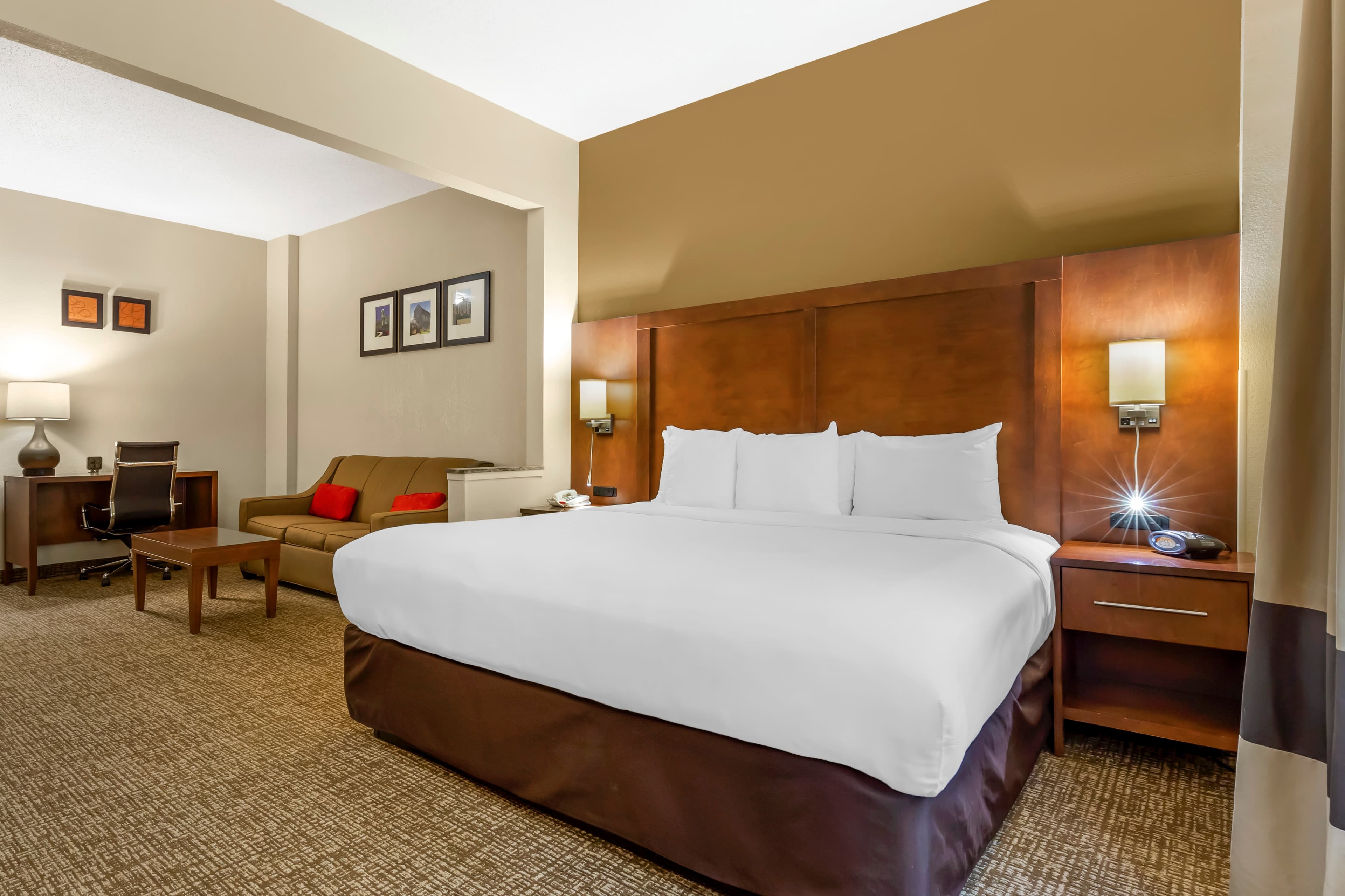 Comfort Suites Raleigh Walnut Creek — 16
