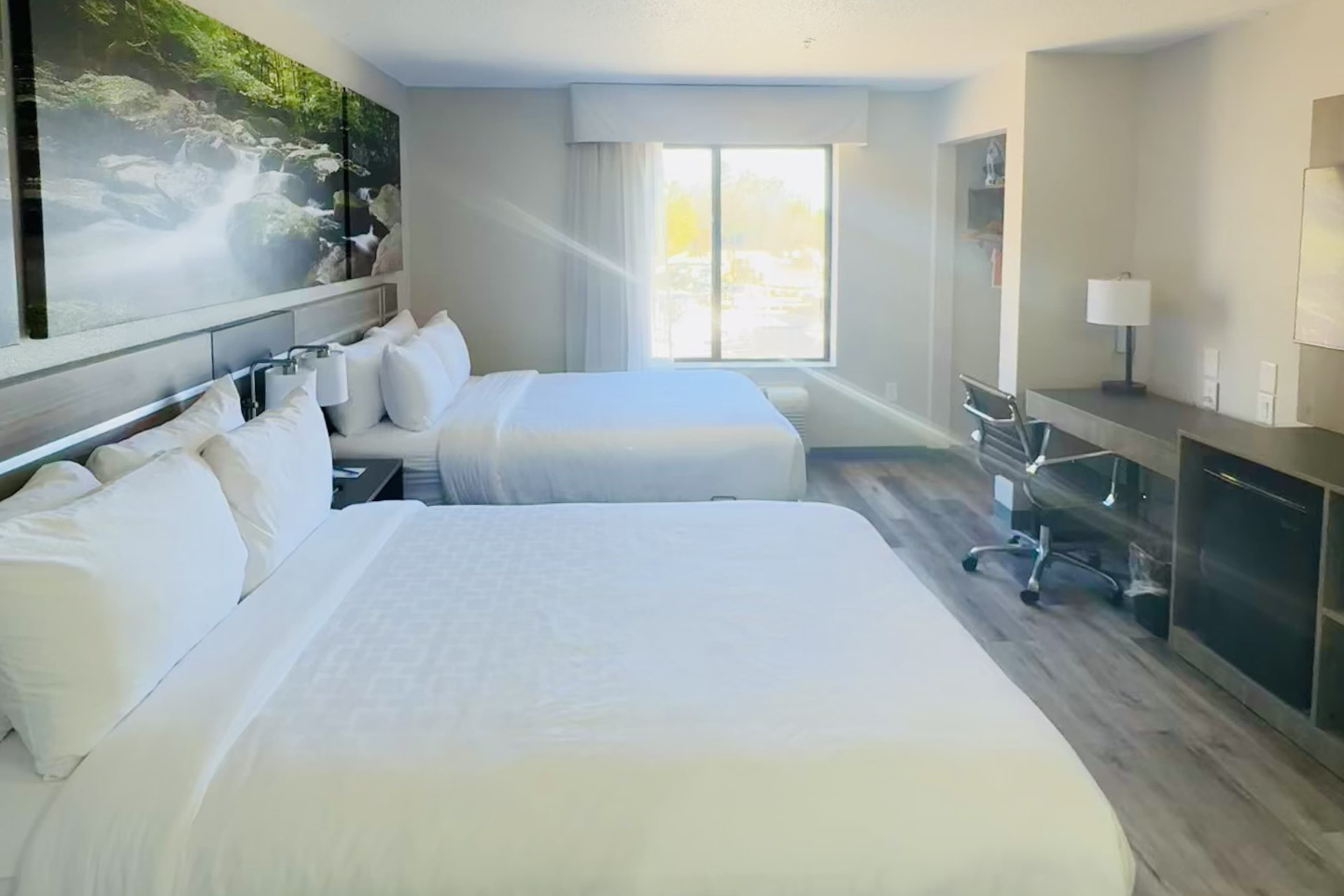Clarion Pointe Albemarle - Image 2