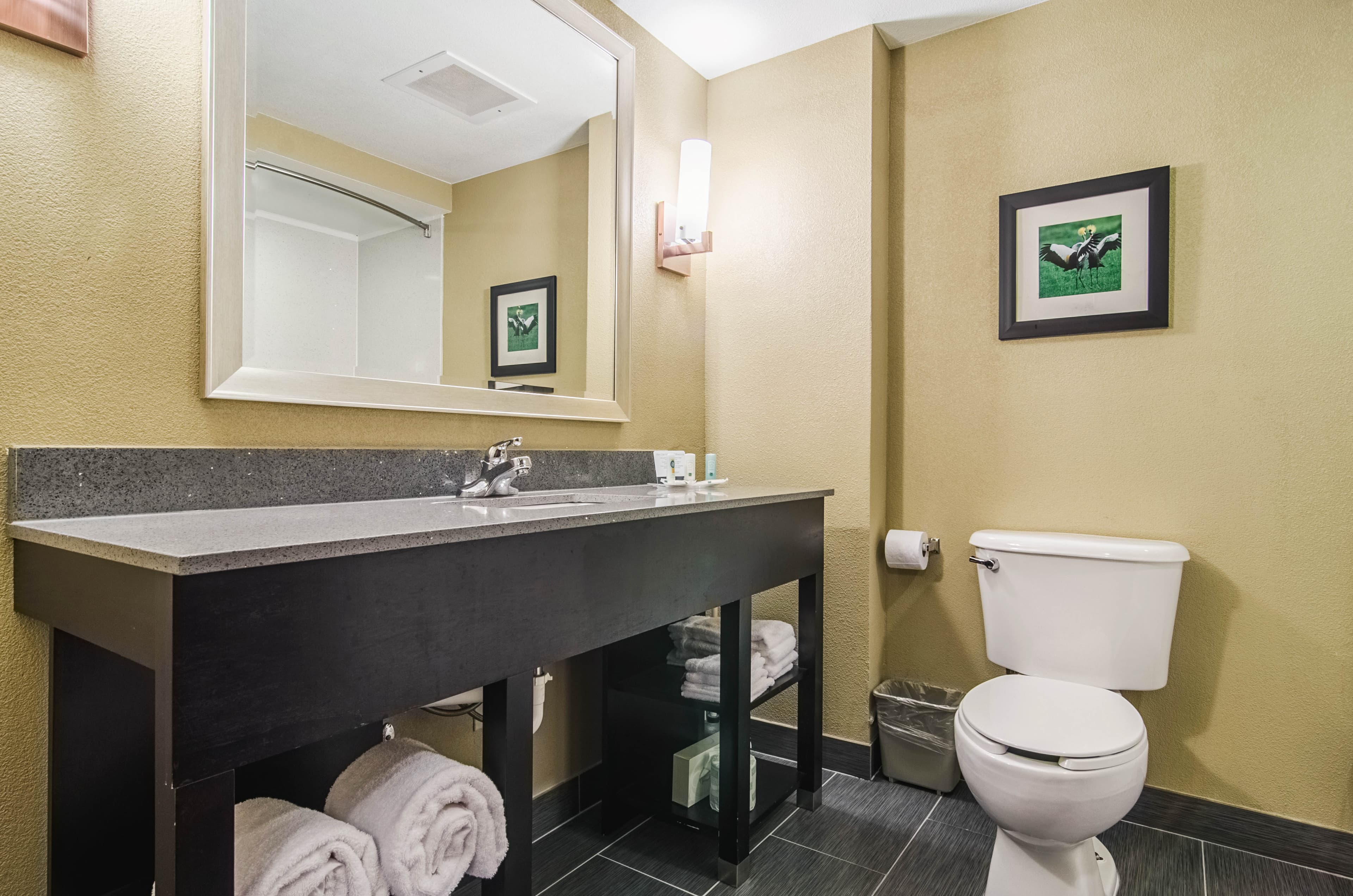 Quality Suites Graham - Burlington South — 6