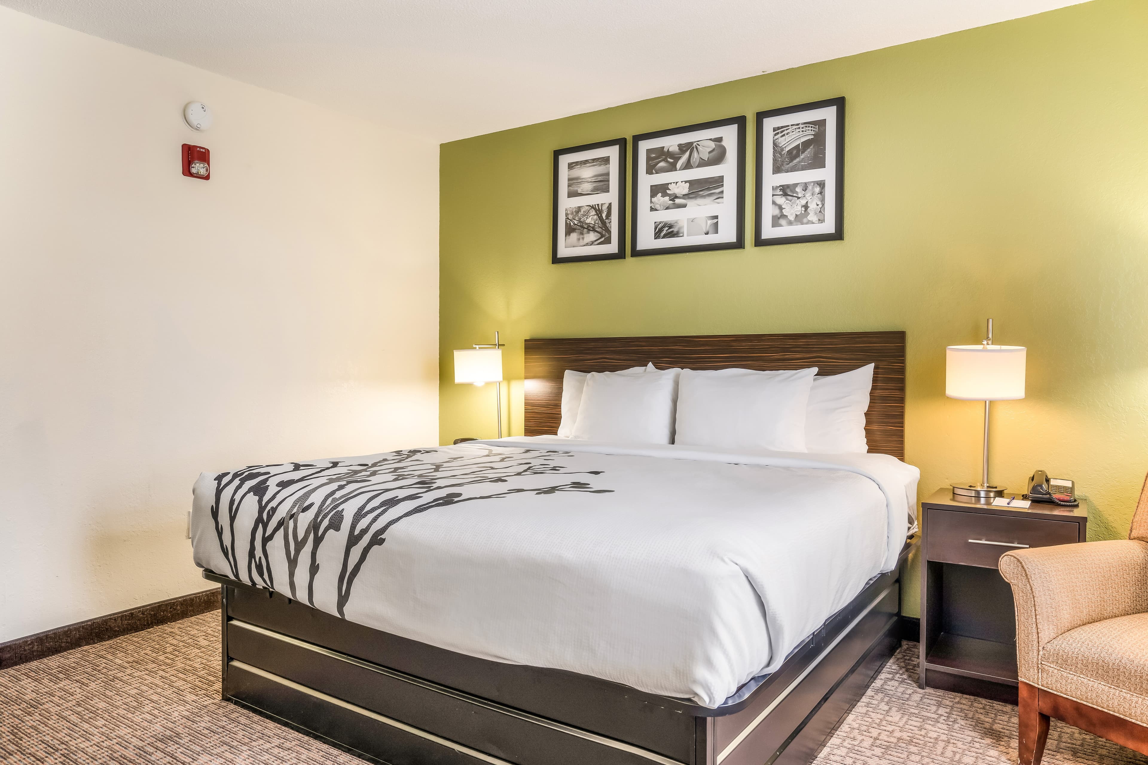 Sleep Inn & Suites Jacksonville near Camp Lejeune — 13