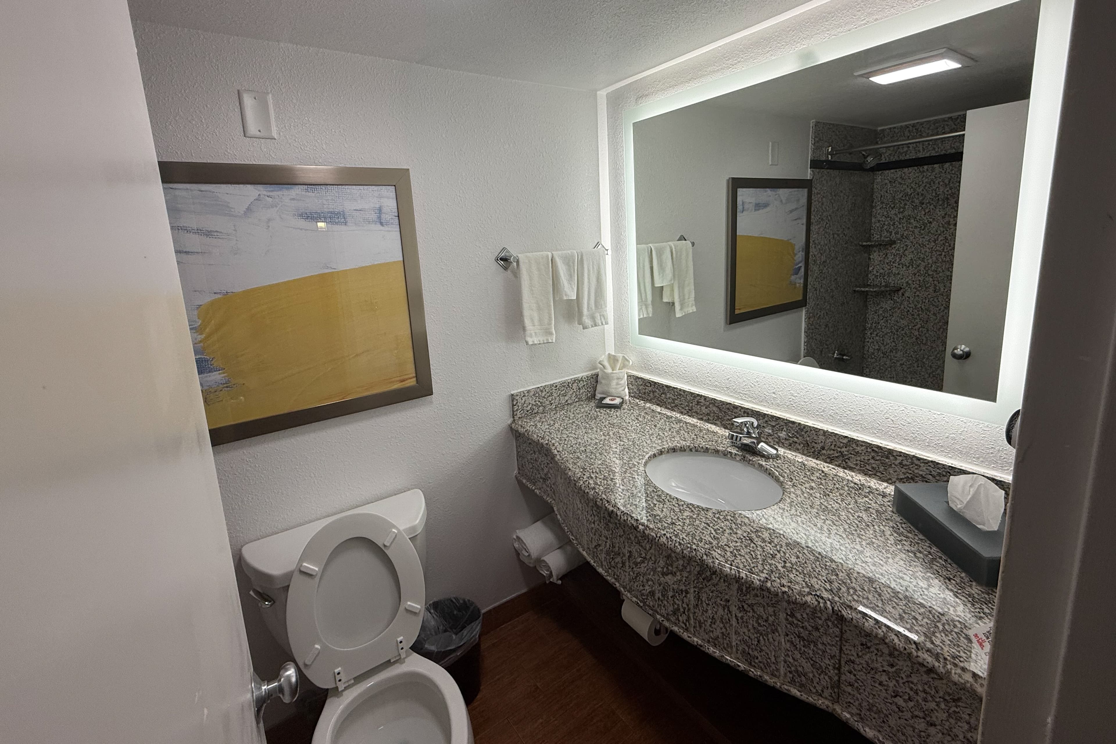 Comfort Inn Conover-Hickory — 6