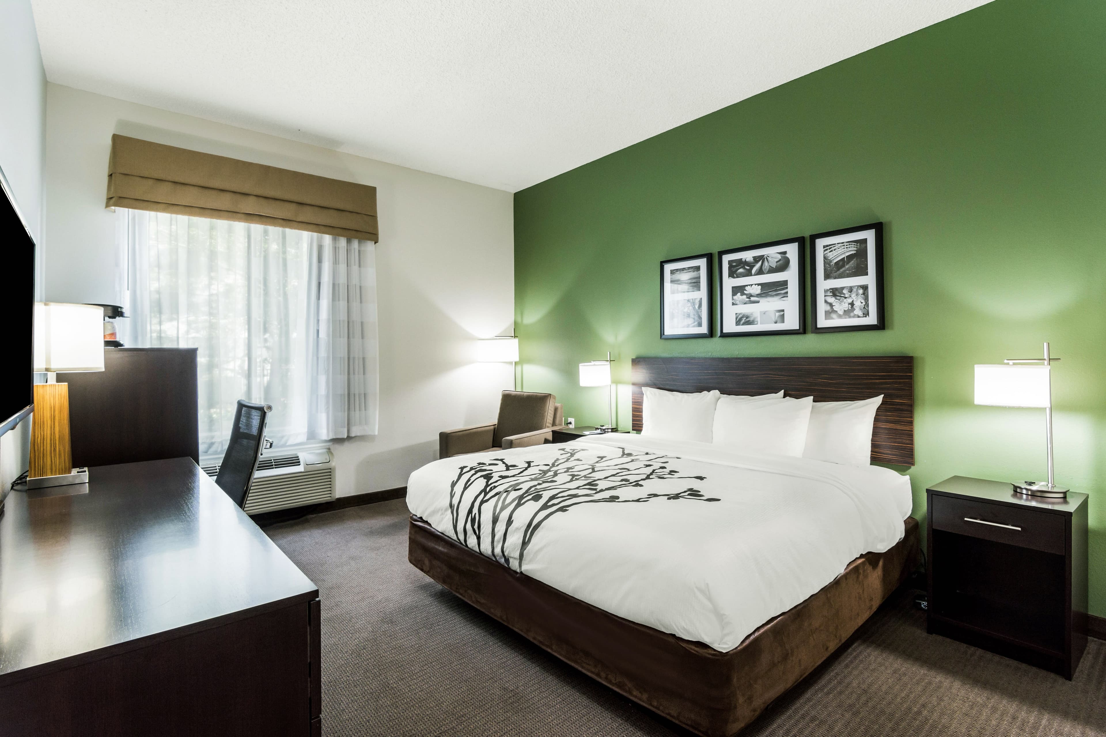 Sleep Inn & Suites Smithfield near I-95 — 12