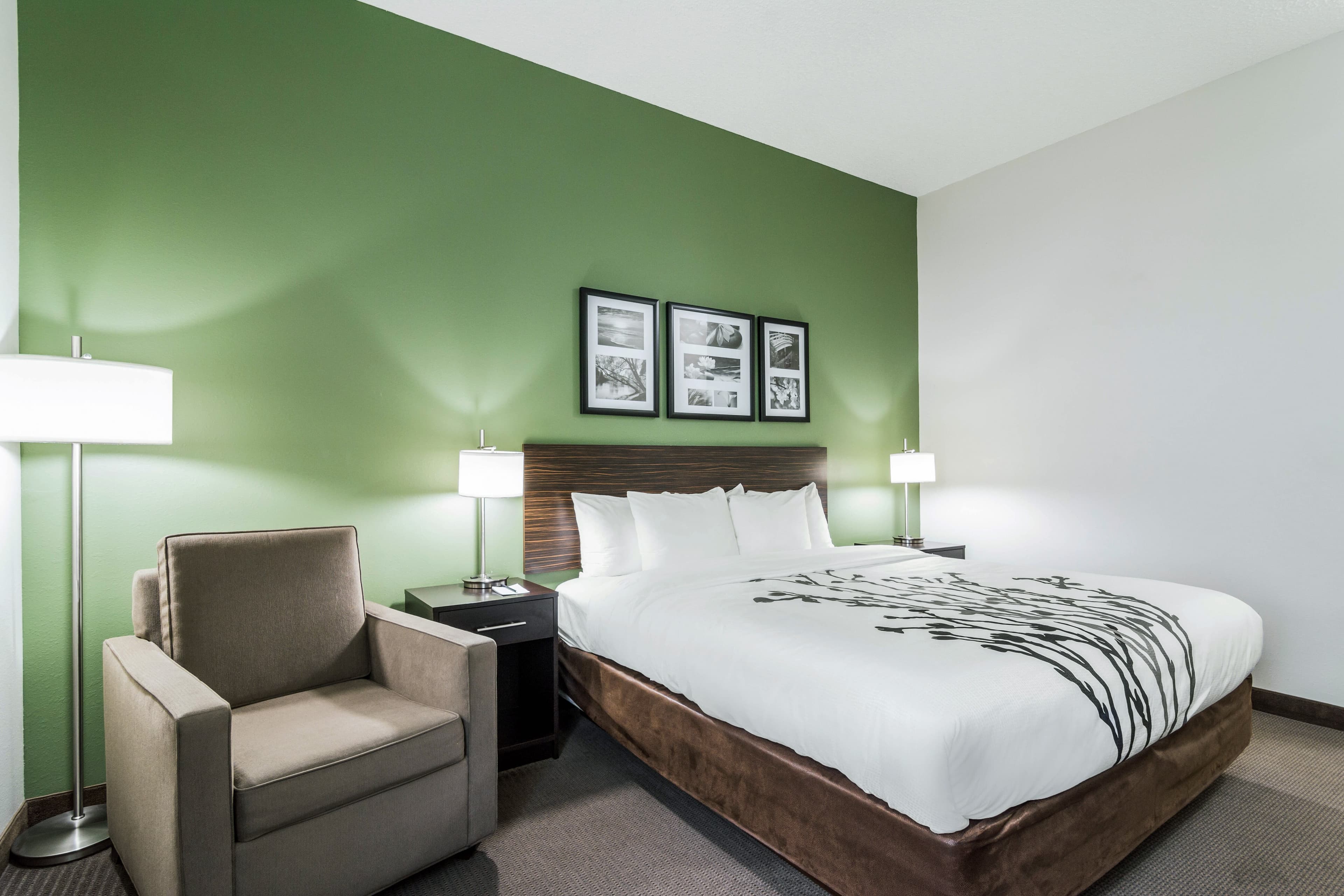 Sleep Inn & Suites Smithfield near I-95 — 13