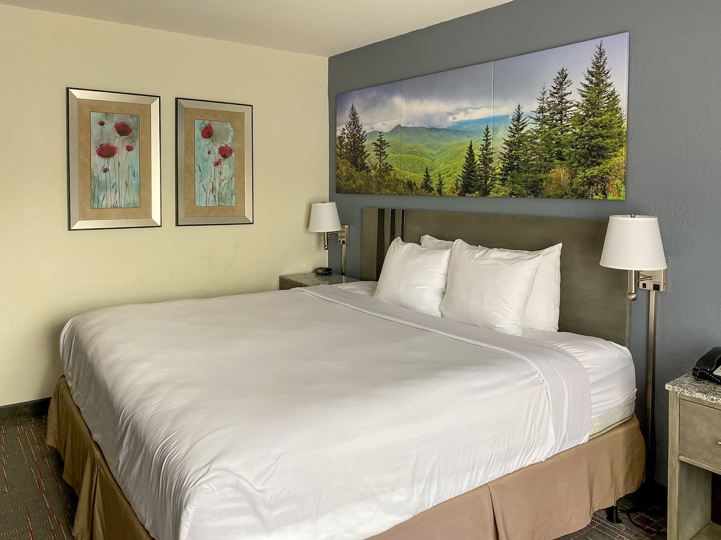 Clarion Pointe - Greensboro Coliseum Area - Image 5