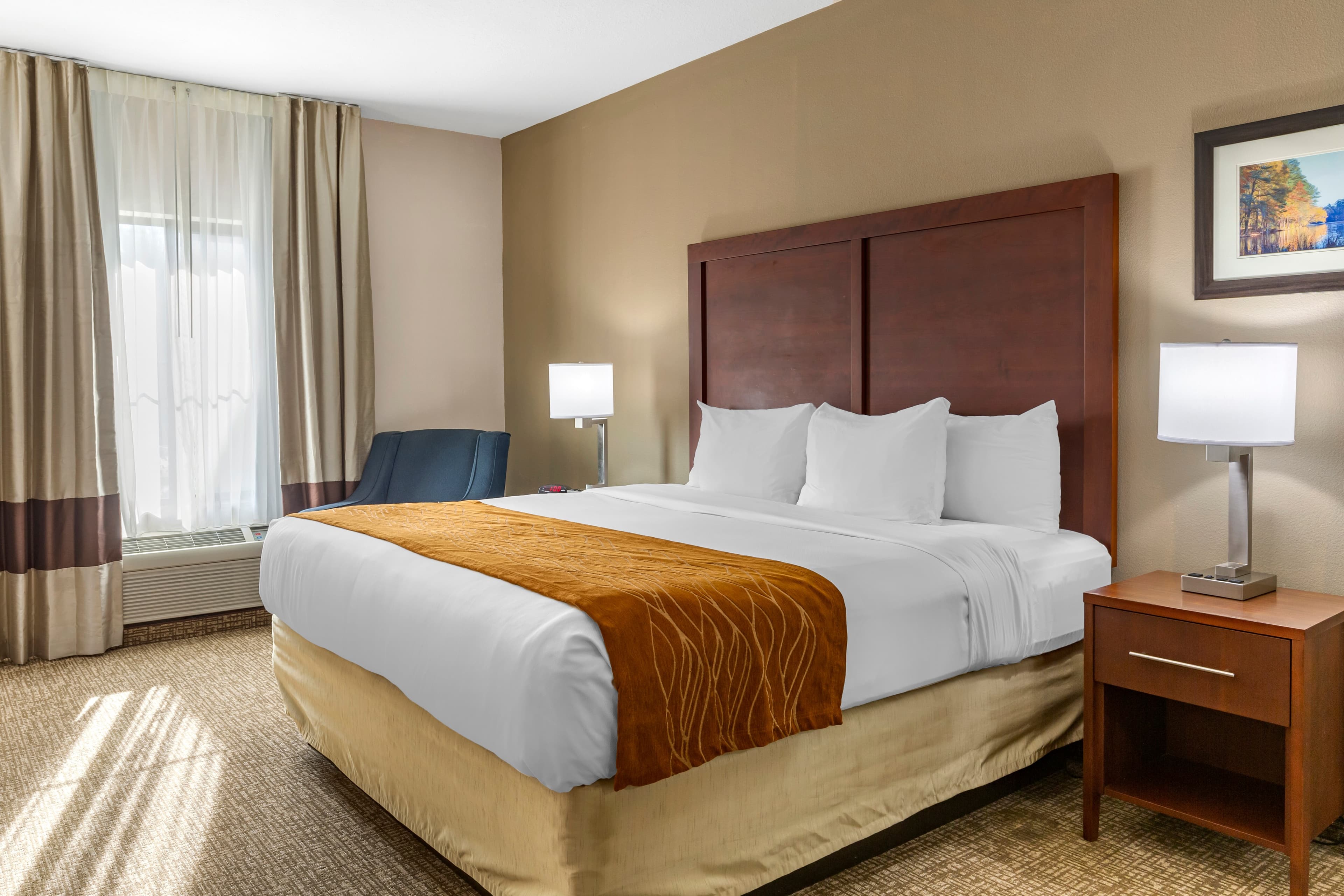 Comfort Inn Smithfield near I-95 - Image 2