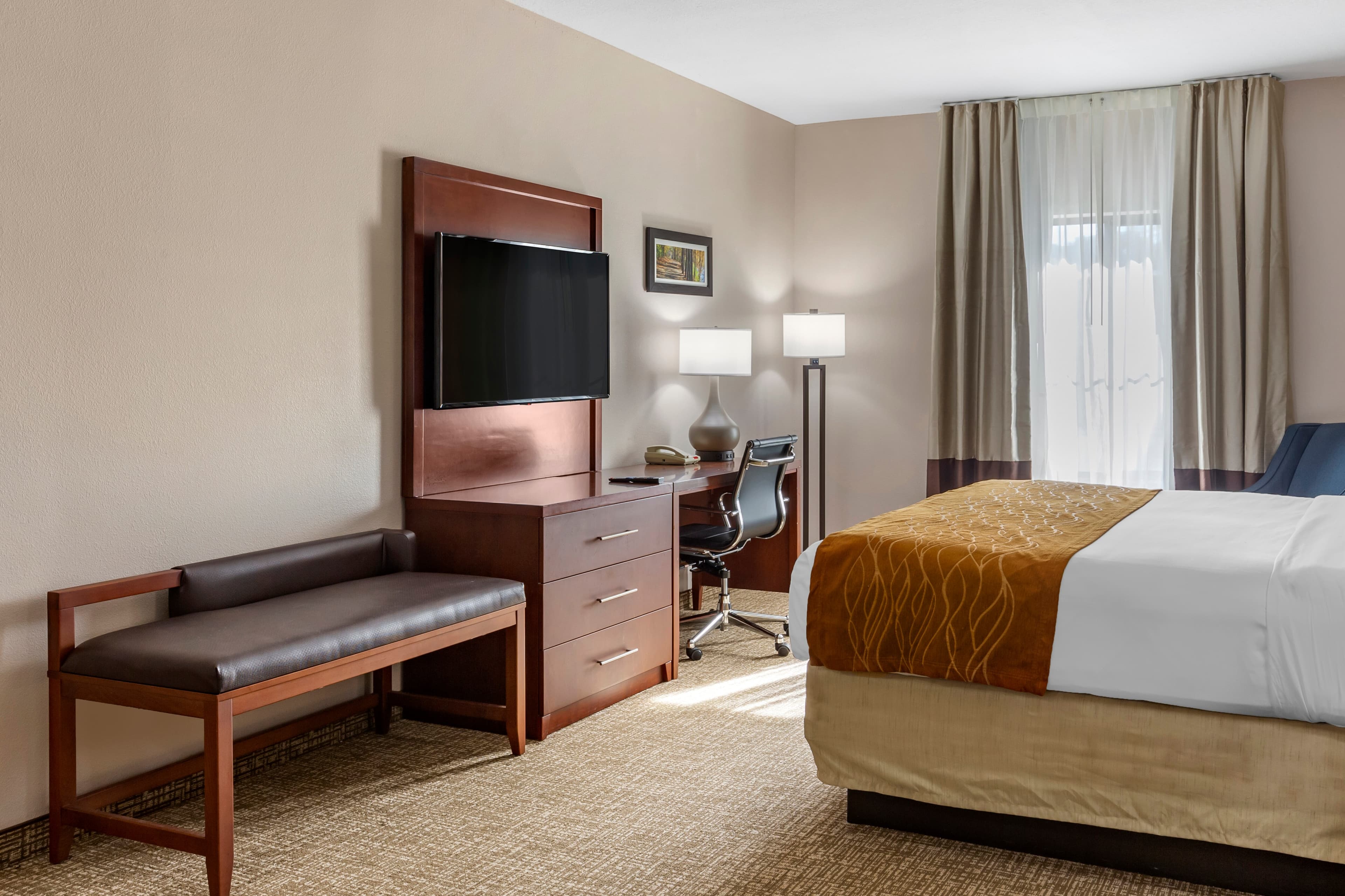 Comfort Inn Smithfield near I-95 - Image 3