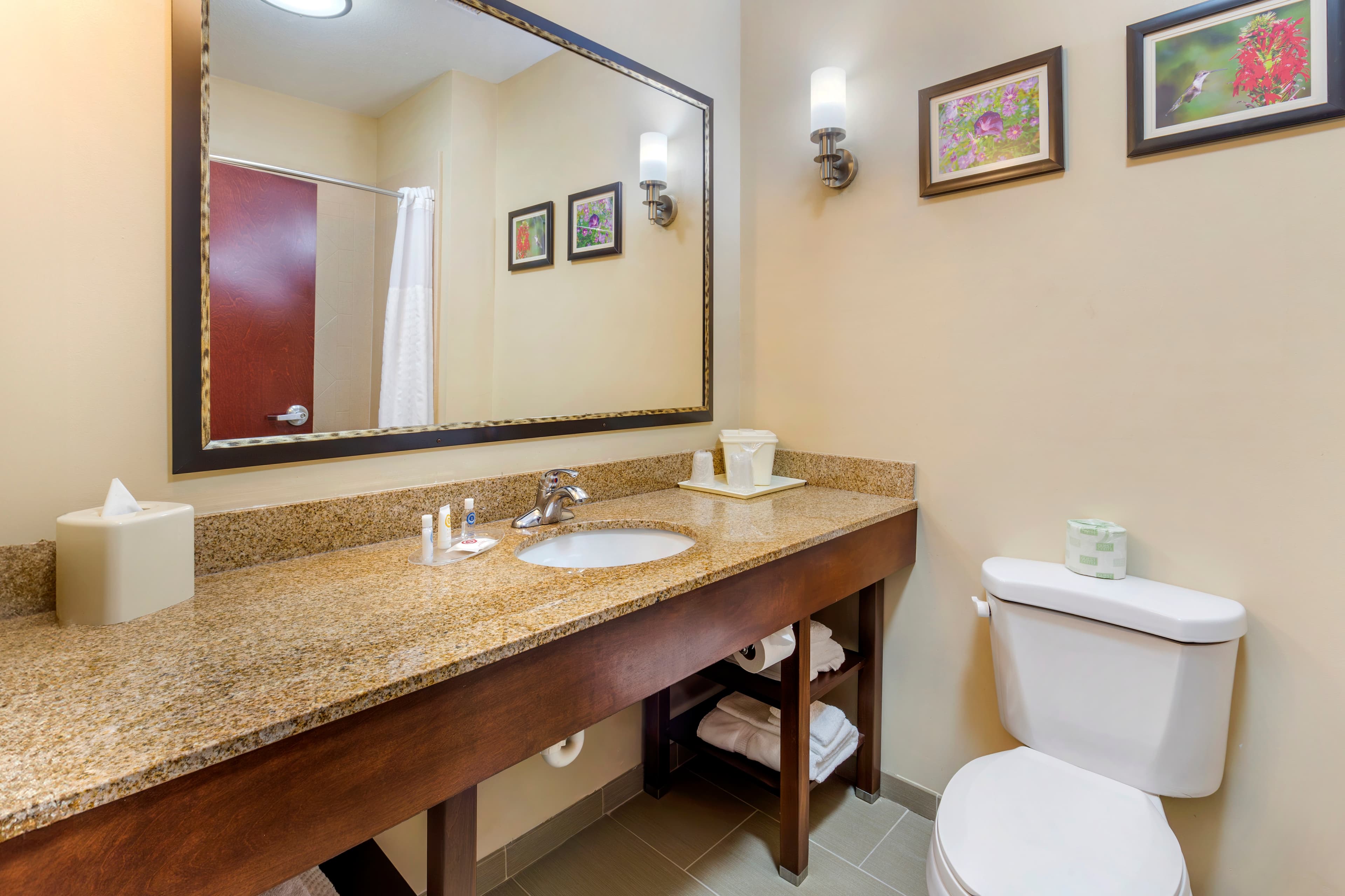 Comfort Suites Wilson - I - 95 — 16