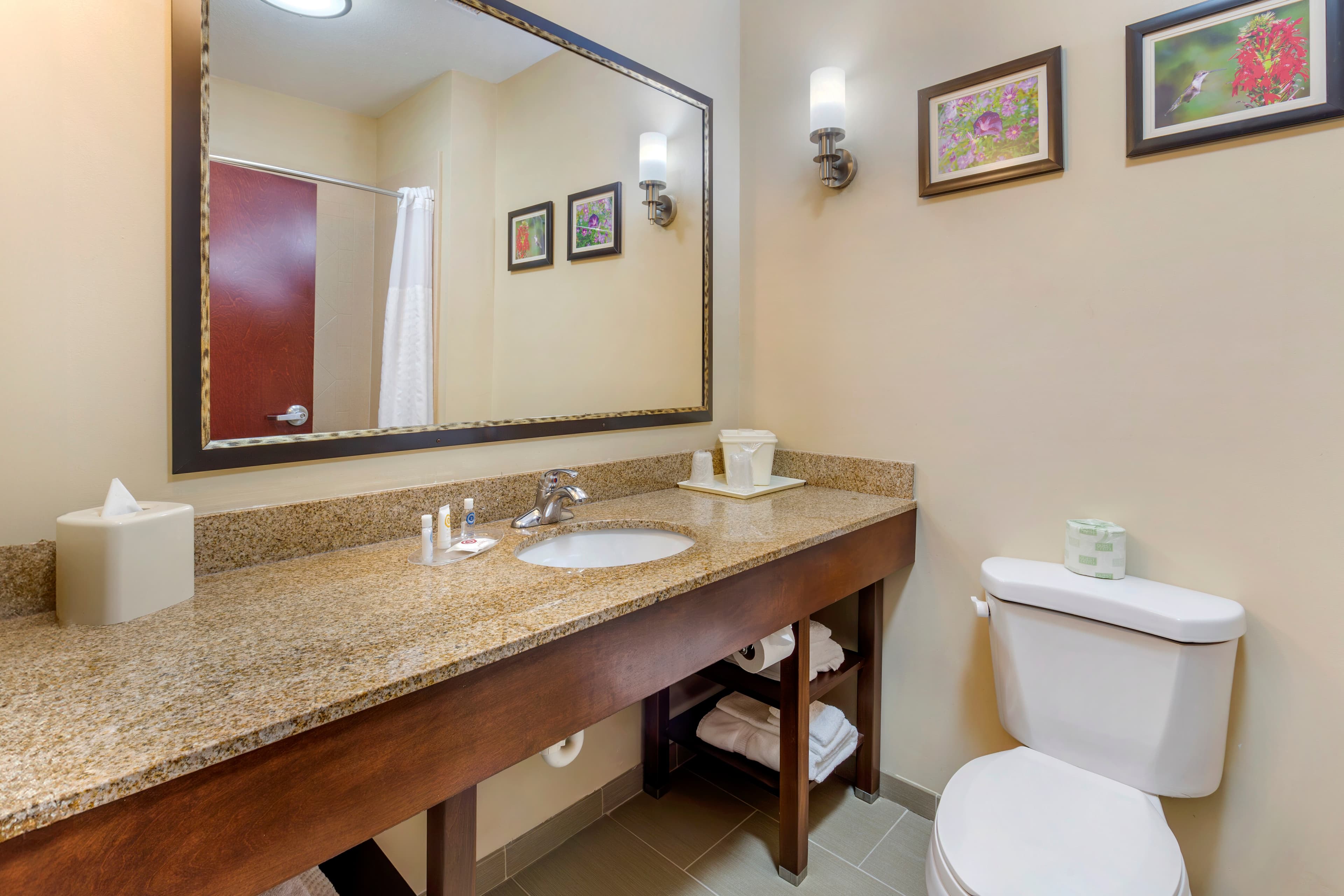 Comfort Suites Wilson - I - 95 — 20