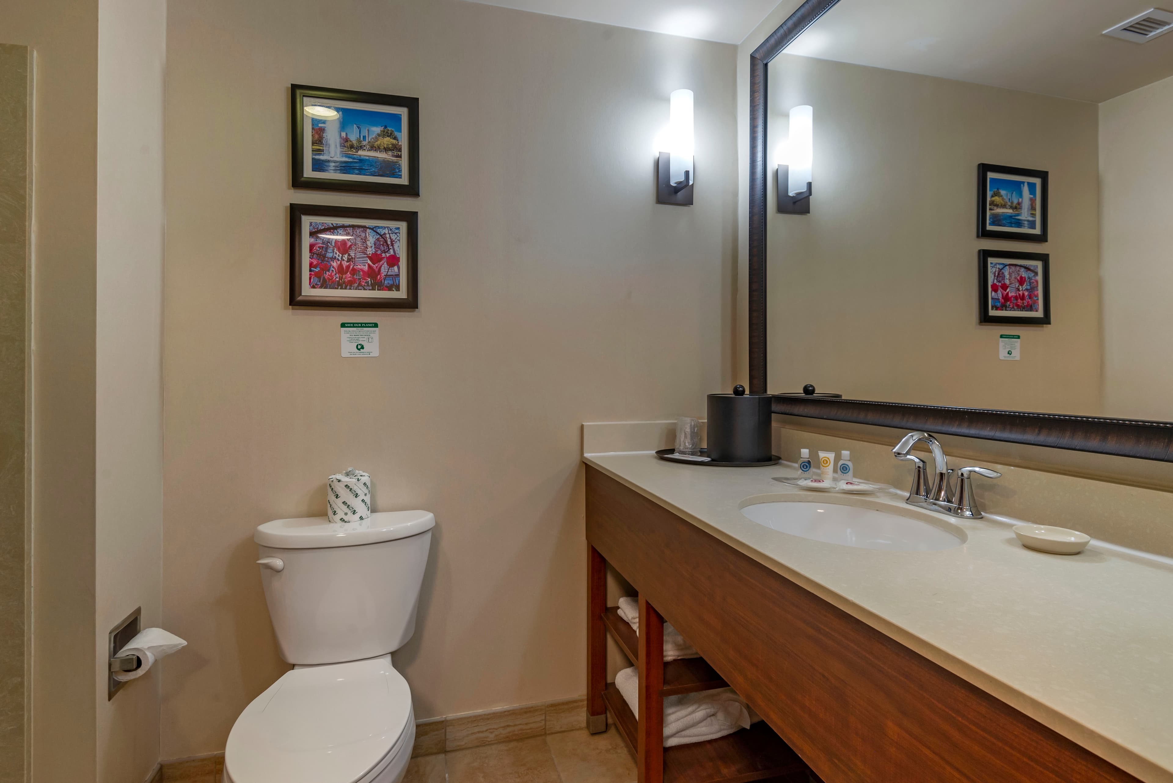Comfort Suites Huntersville near Lake Norman — 15