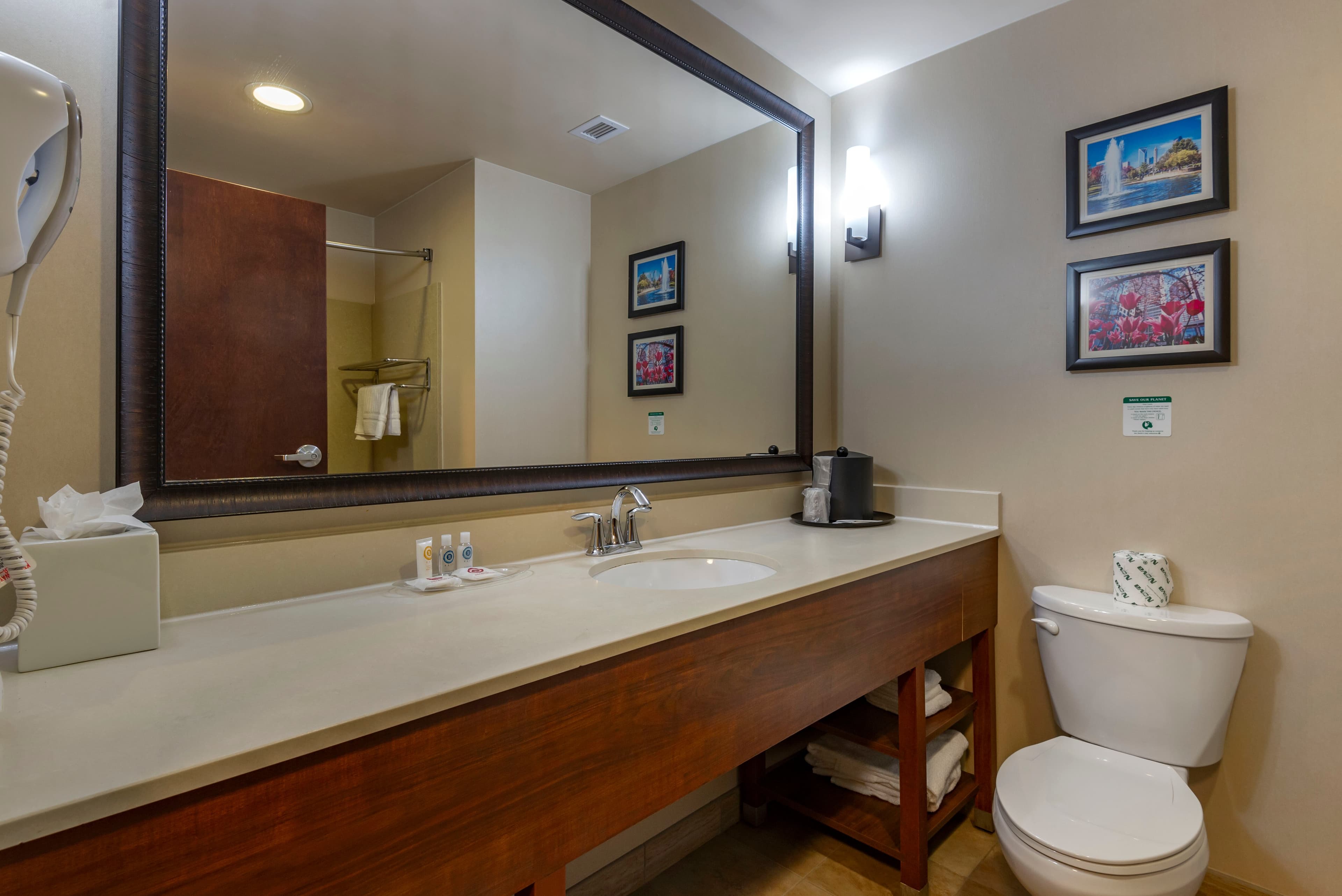 Comfort Suites Huntersville near Lake Norman — 19
