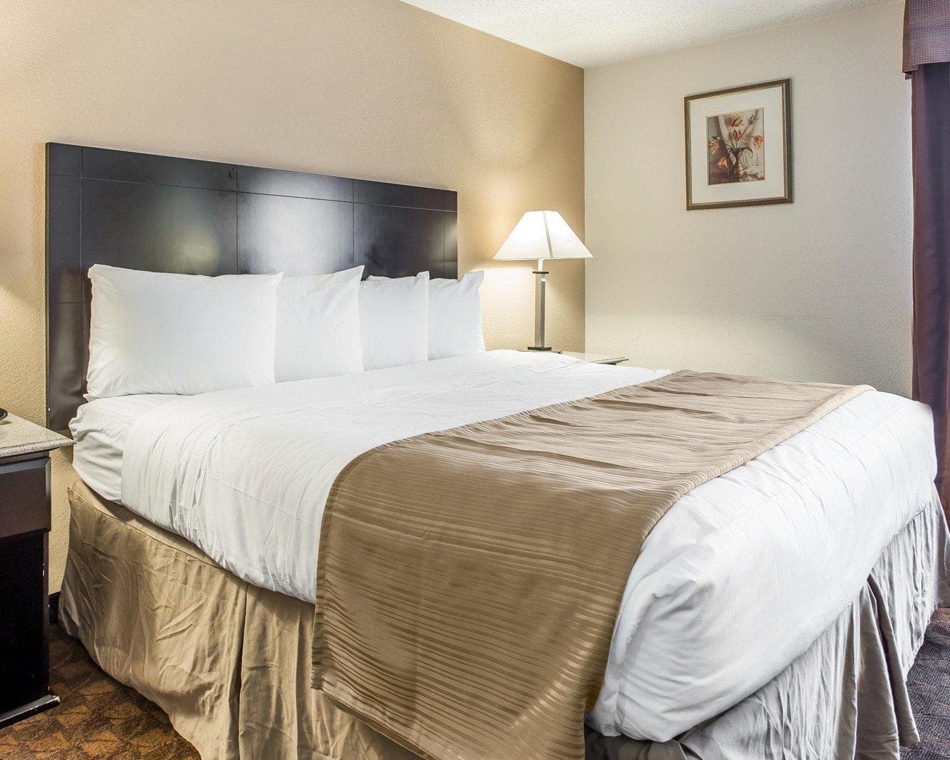 Quality Inn & Suites Coliseum — 5