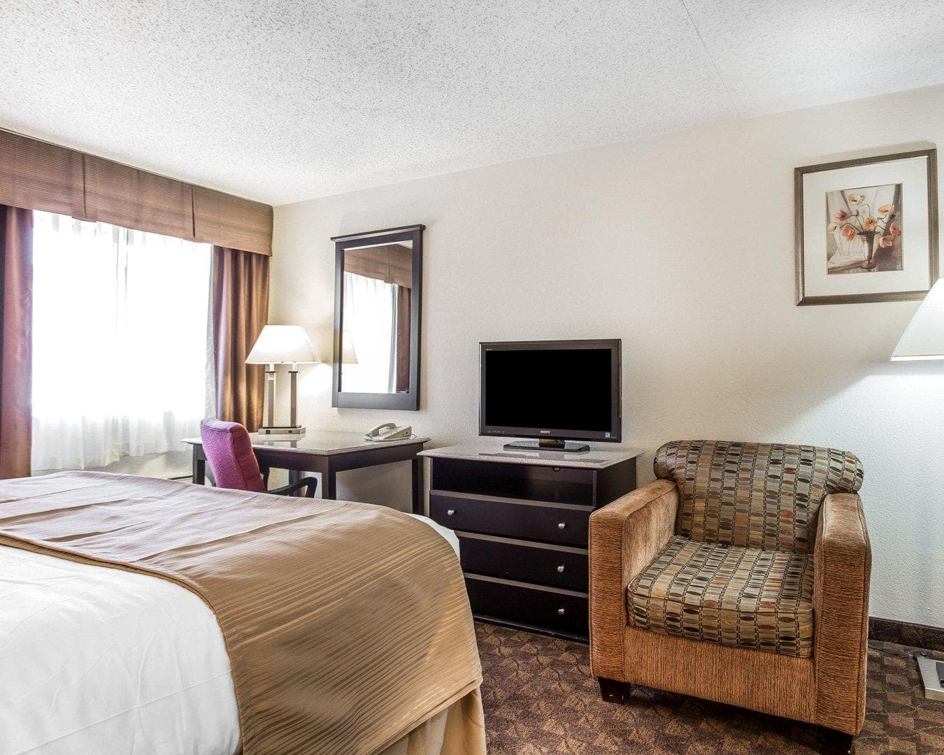 Quality Inn & Suites Coliseum — 6