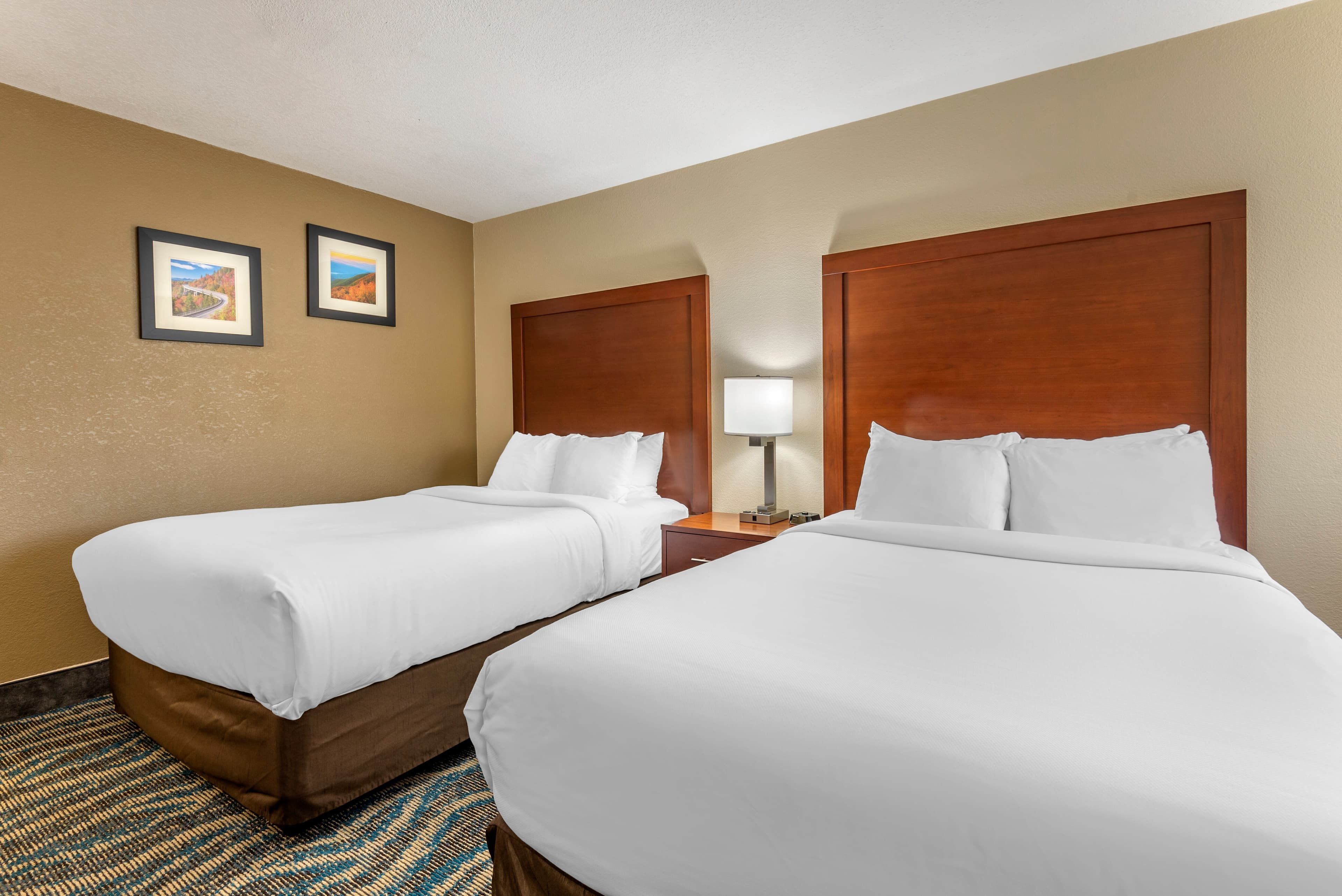 Comfort Inn Asheville East-Blue Ridge Pkwy Access - Image 3