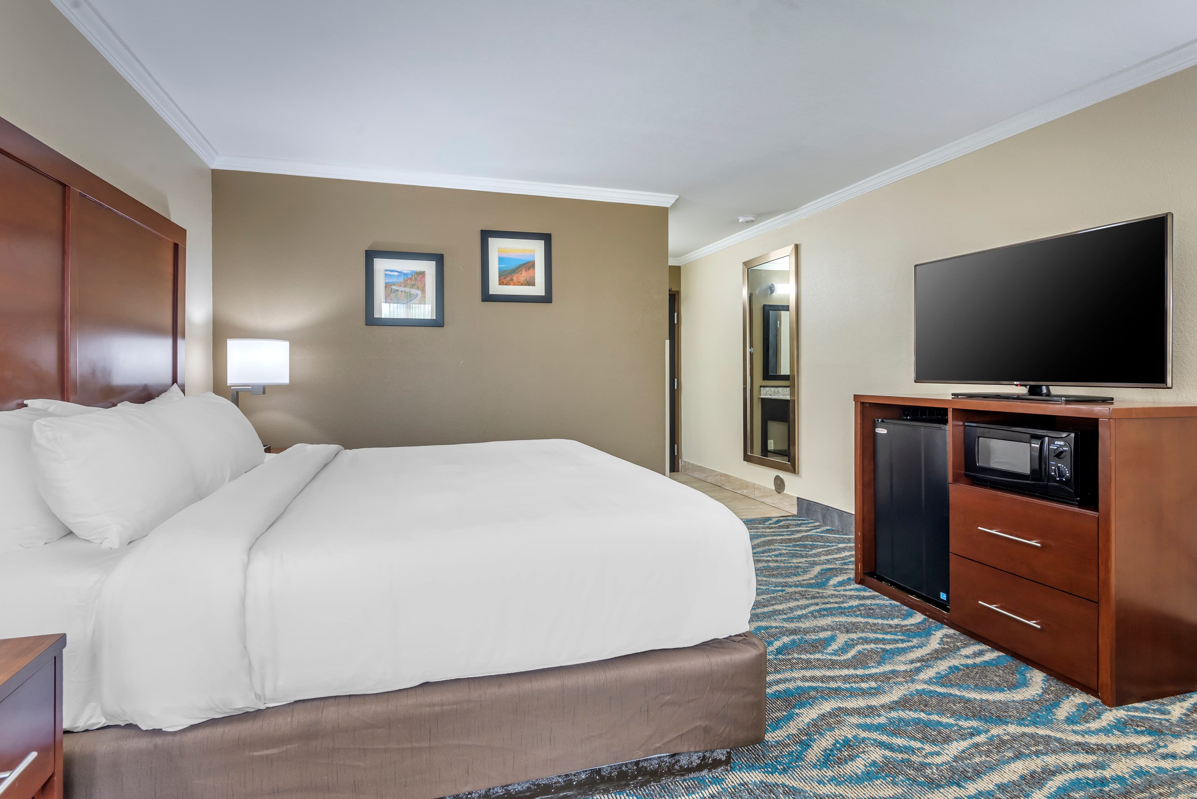 Comfort Inn Asheville East-Blue Ridge Pkwy Access — 15