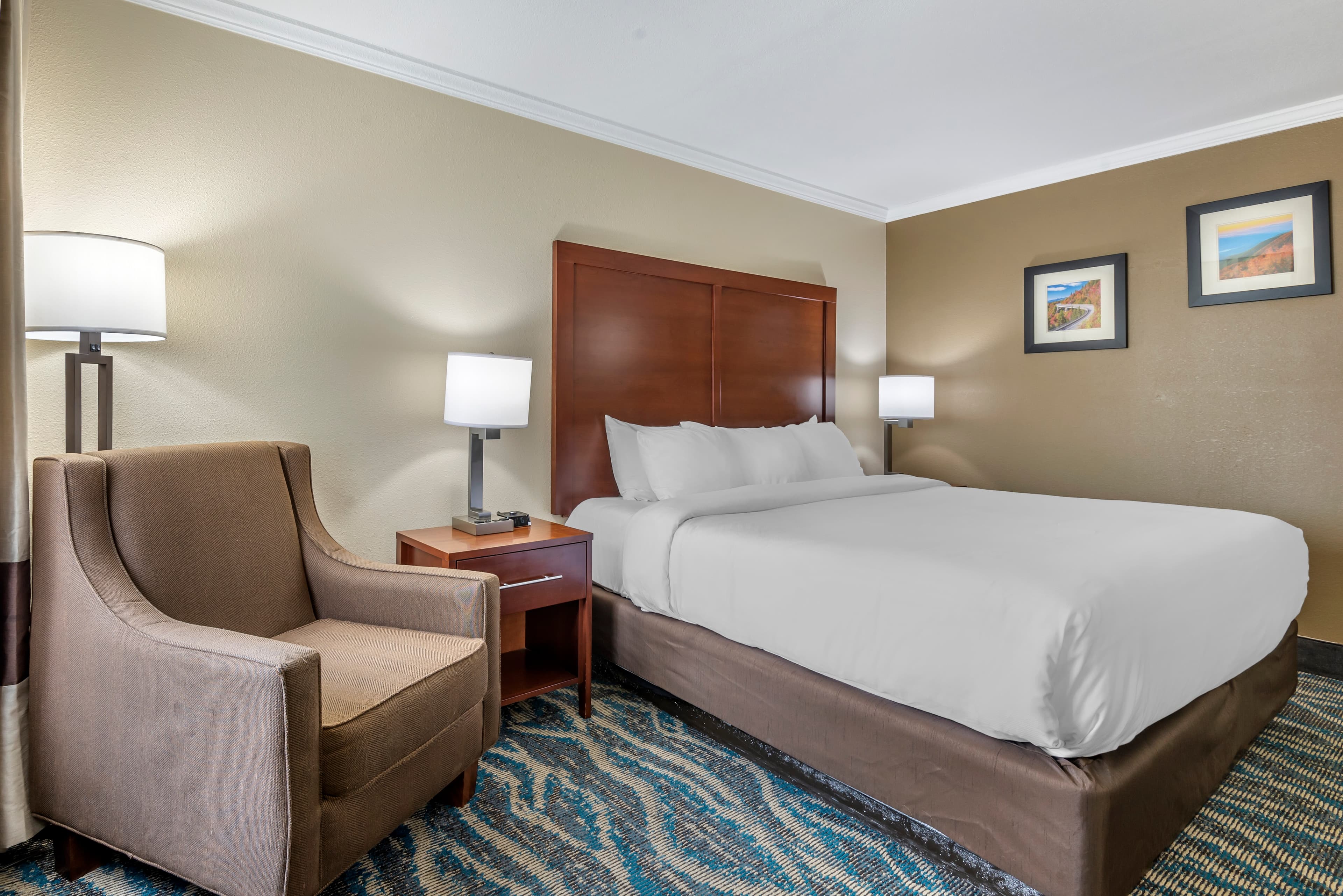 Comfort Inn Asheville East-Blue Ridge Pkwy Access — 16