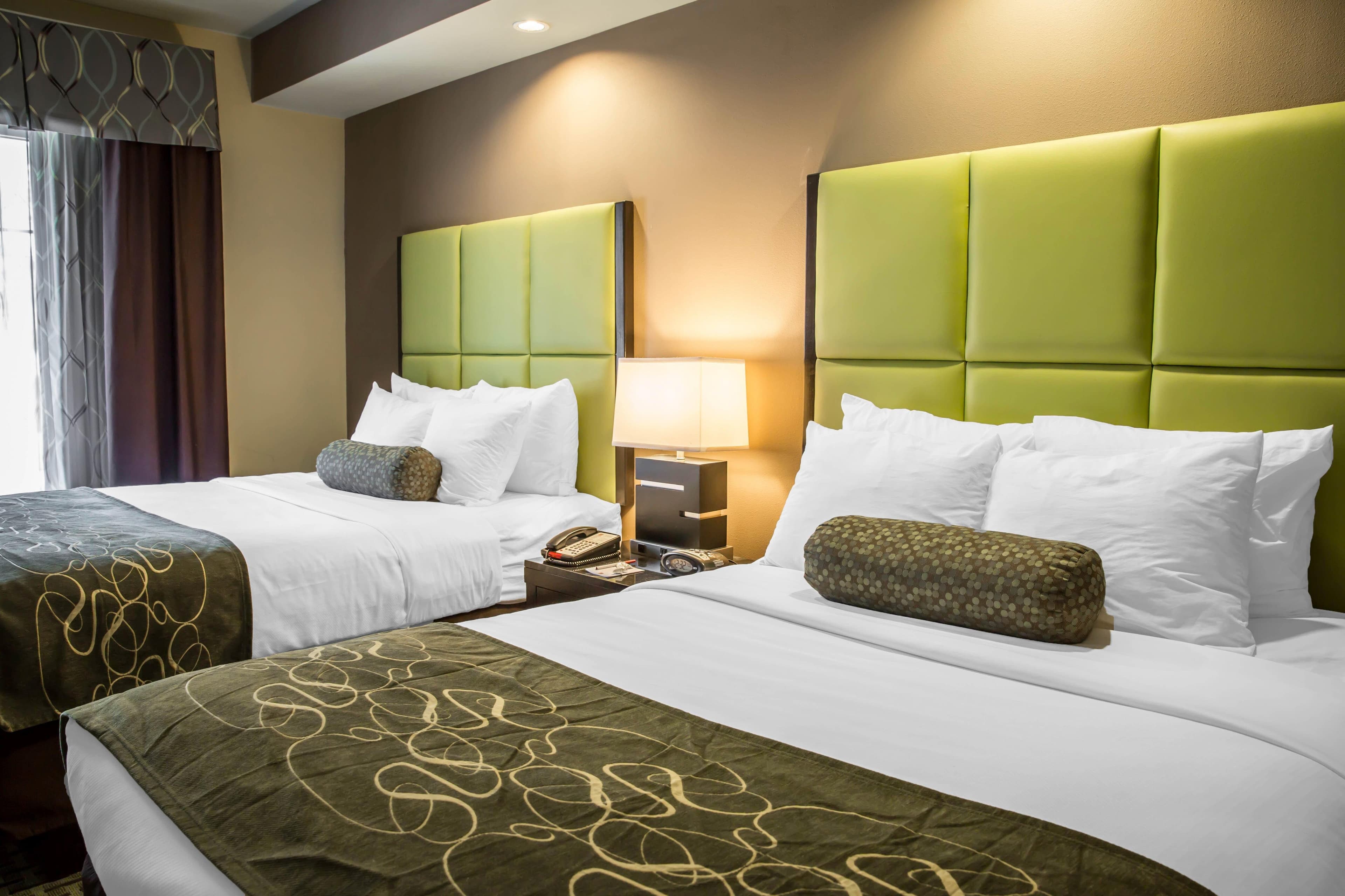 Comfort Suites New Bern near Cherry Point - Image 3
