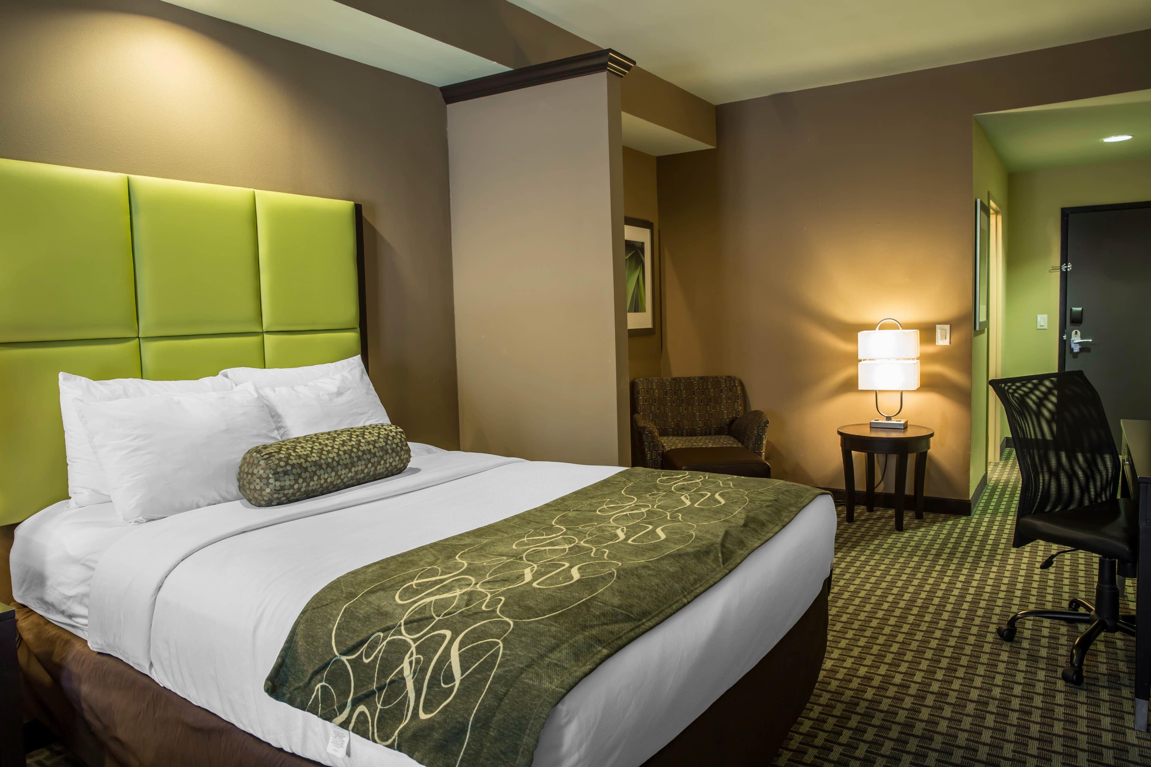 Comfort Suites New Bern near Cherry Point - Image 5