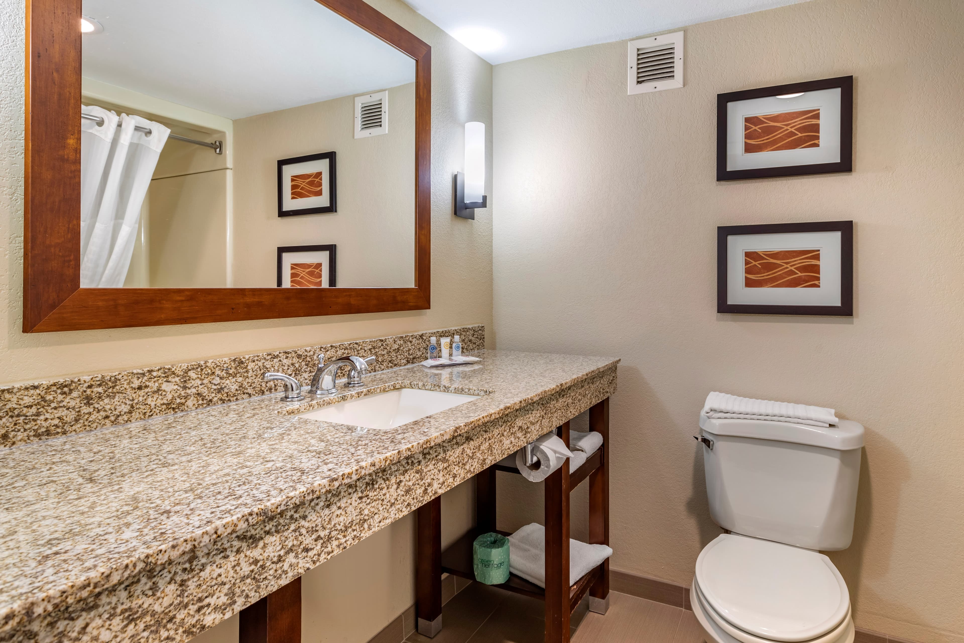 Comfort Inn Biltmore West — 10