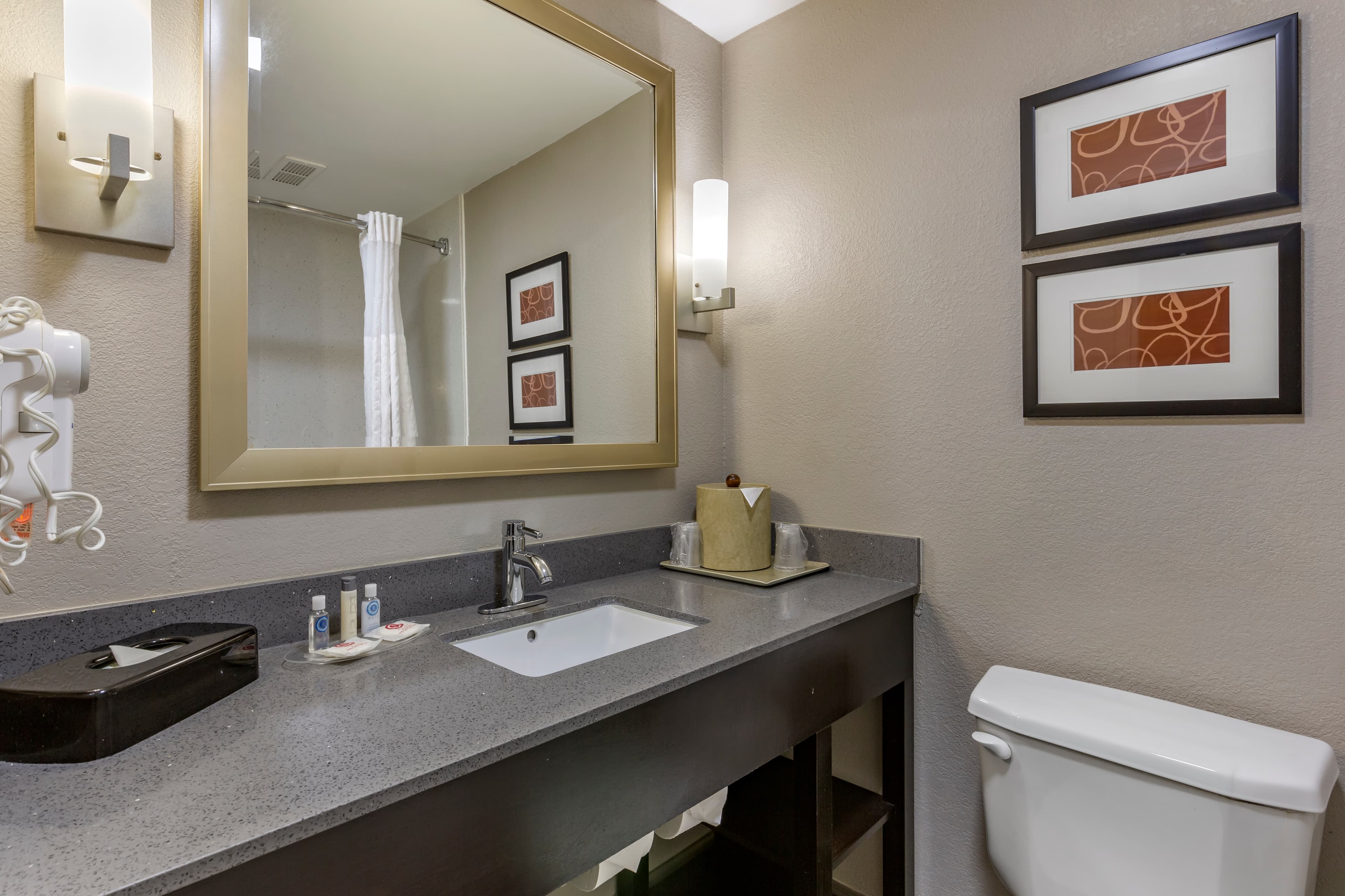 Comfort Suites Pineville - Ballantyne Area — 20