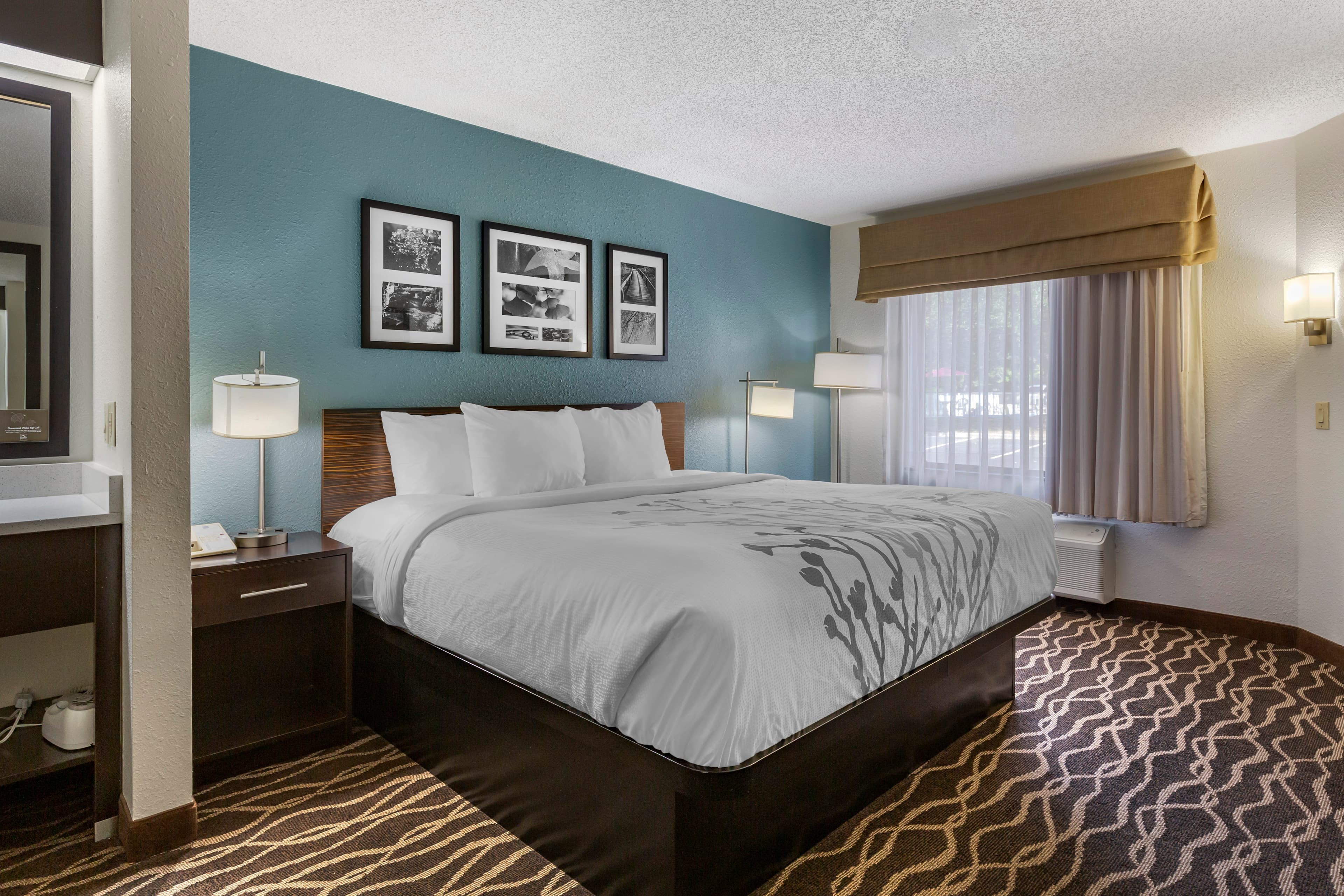 Sleep Inn Fayetteville I-95 — 10