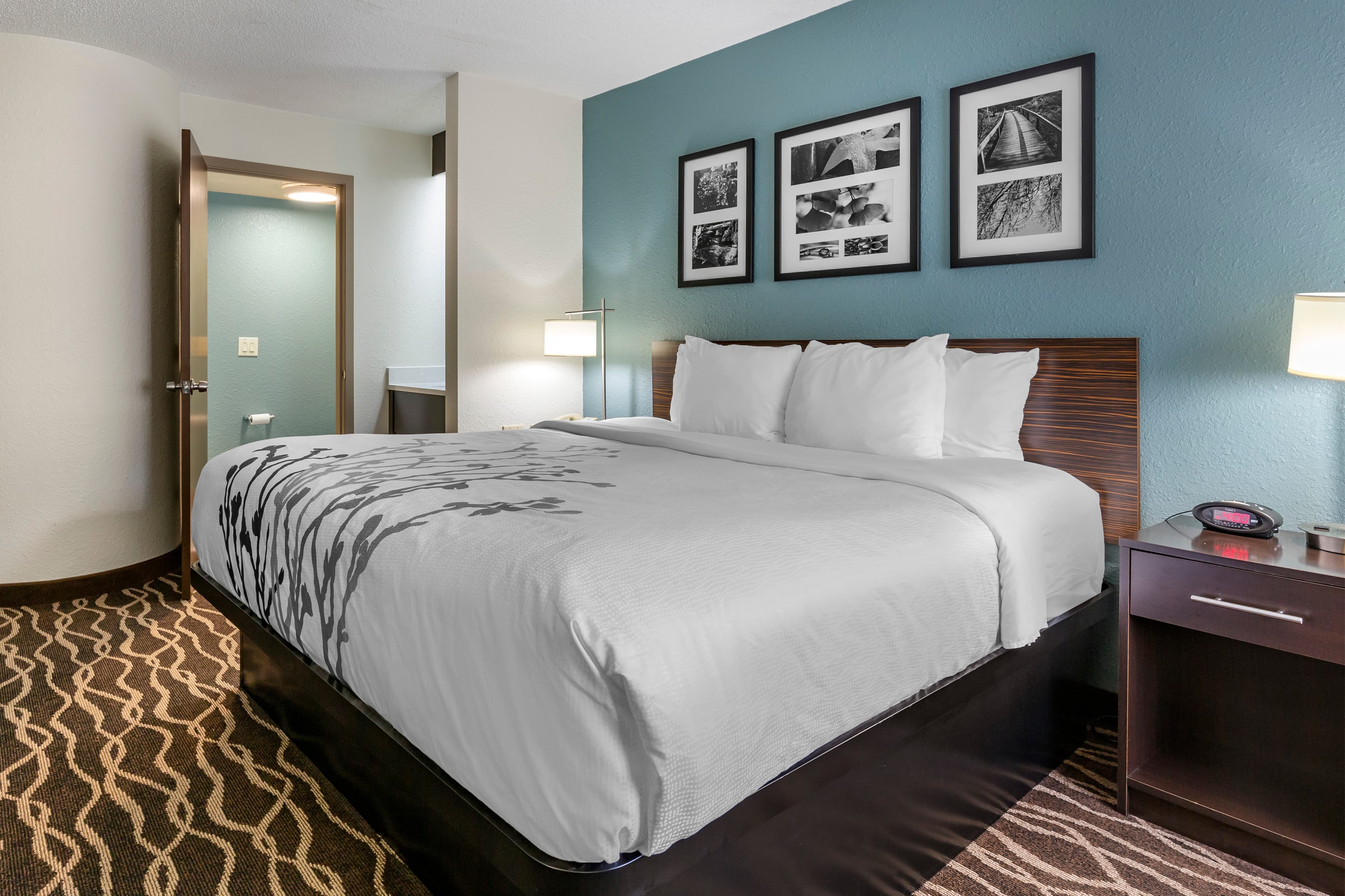Sleep Inn Fayetteville I-95 — 12