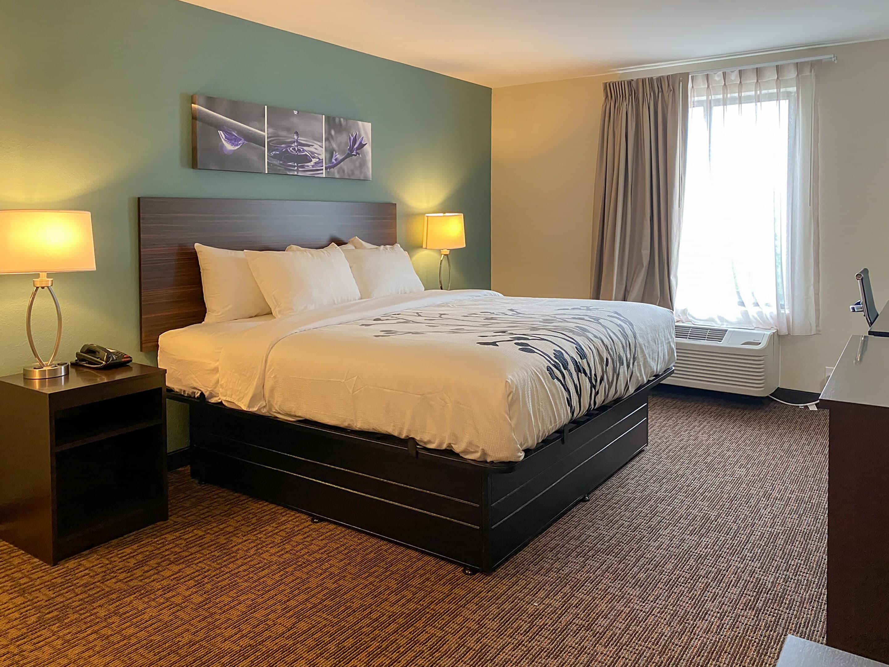 Sleep Inn & Suites - Coliseum Area - Image 2