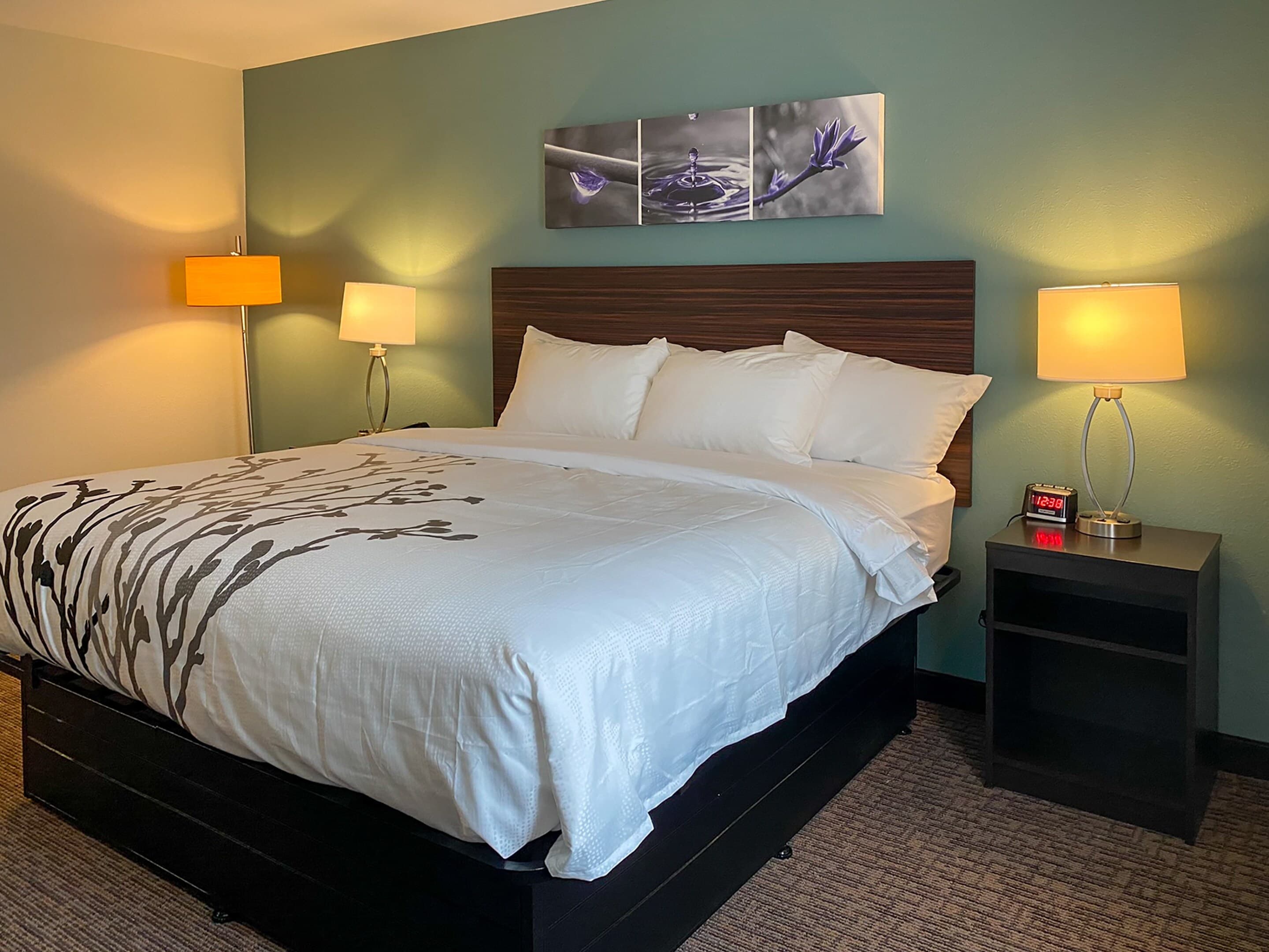 Sleep Inn & Suites - Coliseum Area — 6