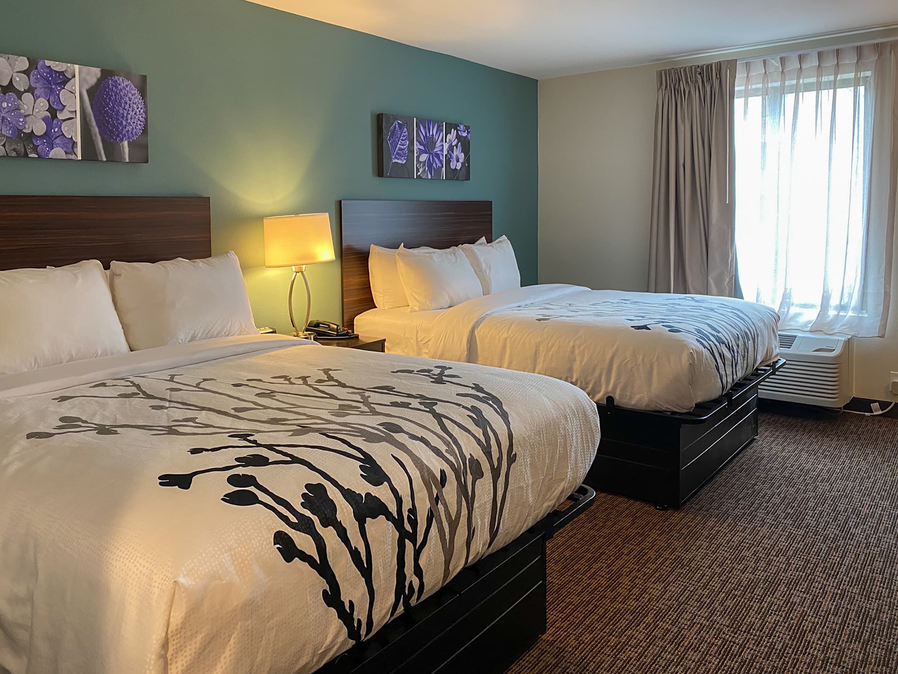 Sleep Inn & Suites - Coliseum Area — 7
