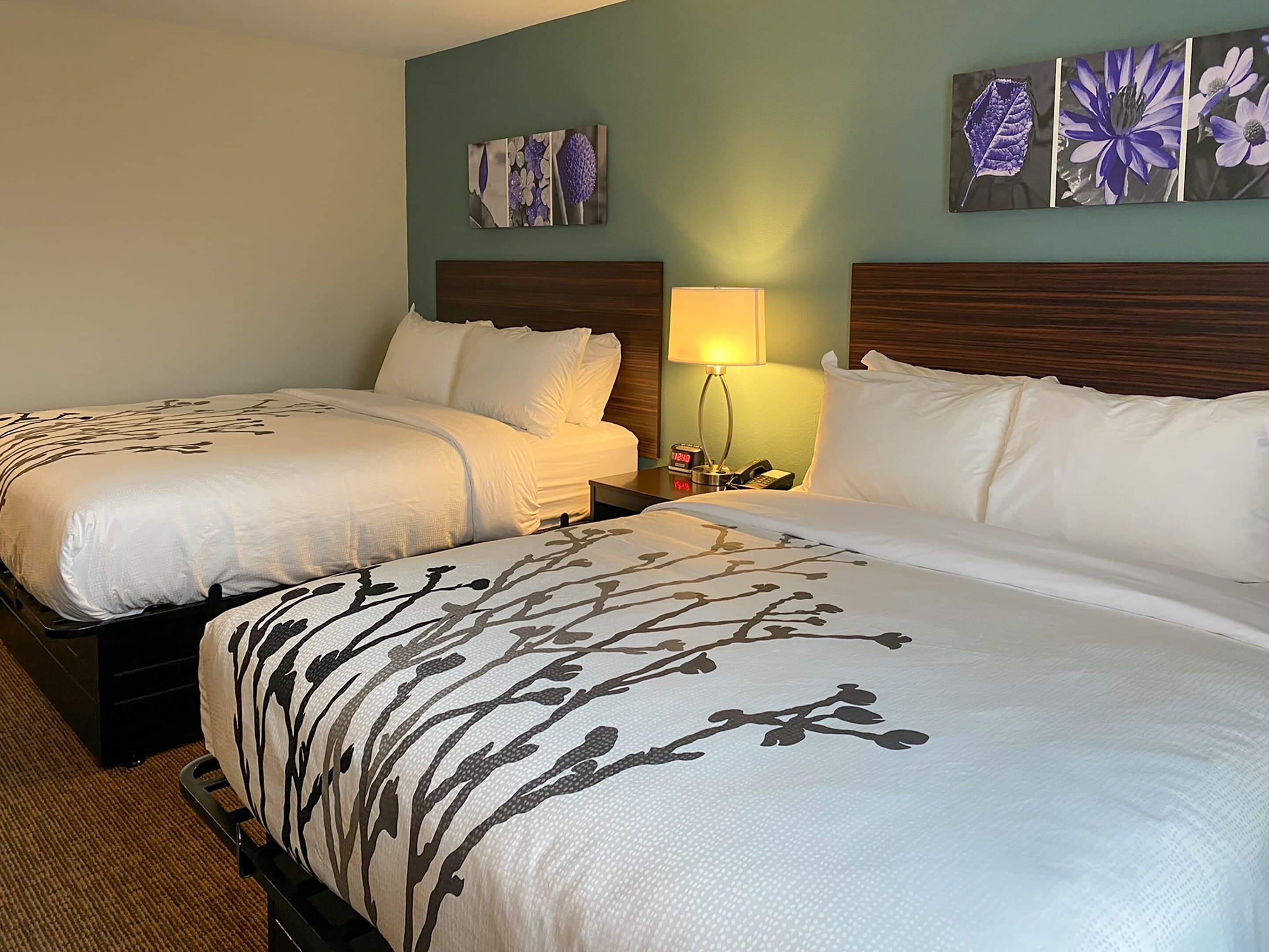 Sleep Inn & Suites - Coliseum Area — 9
