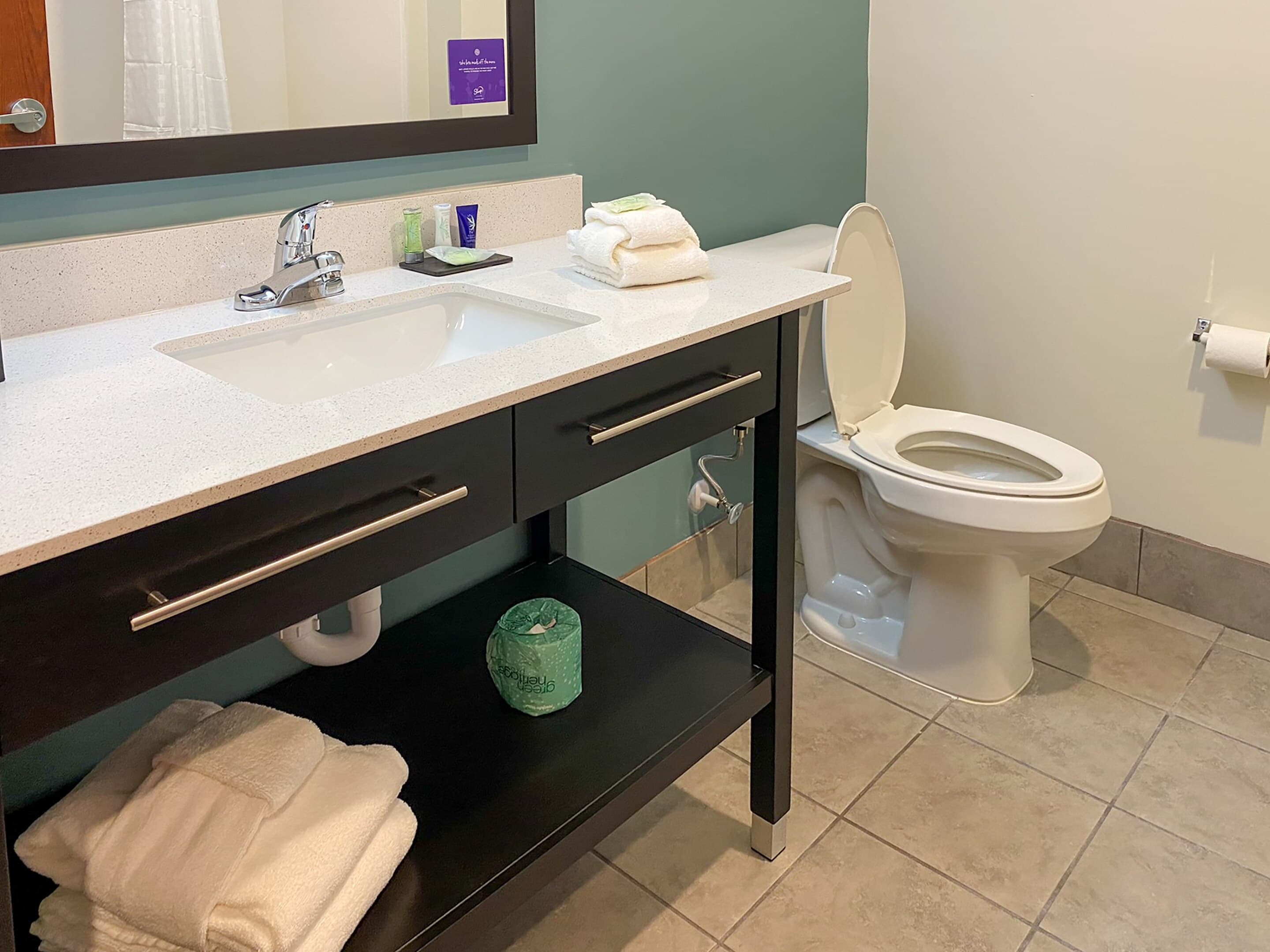 Sleep Inn & Suites - Coliseum Area - Image 3