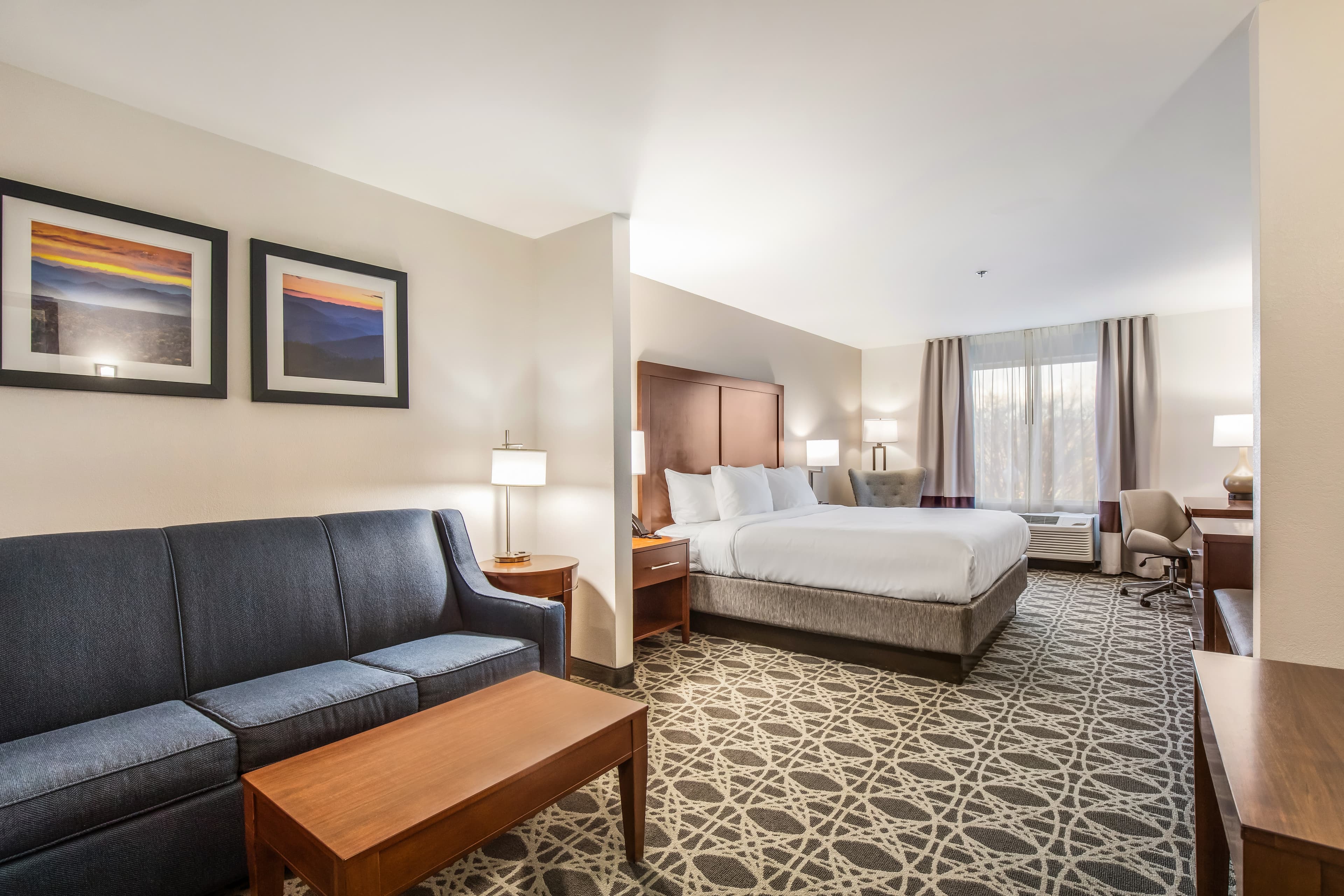 Comfort Inn & Suites Brevard North — 19