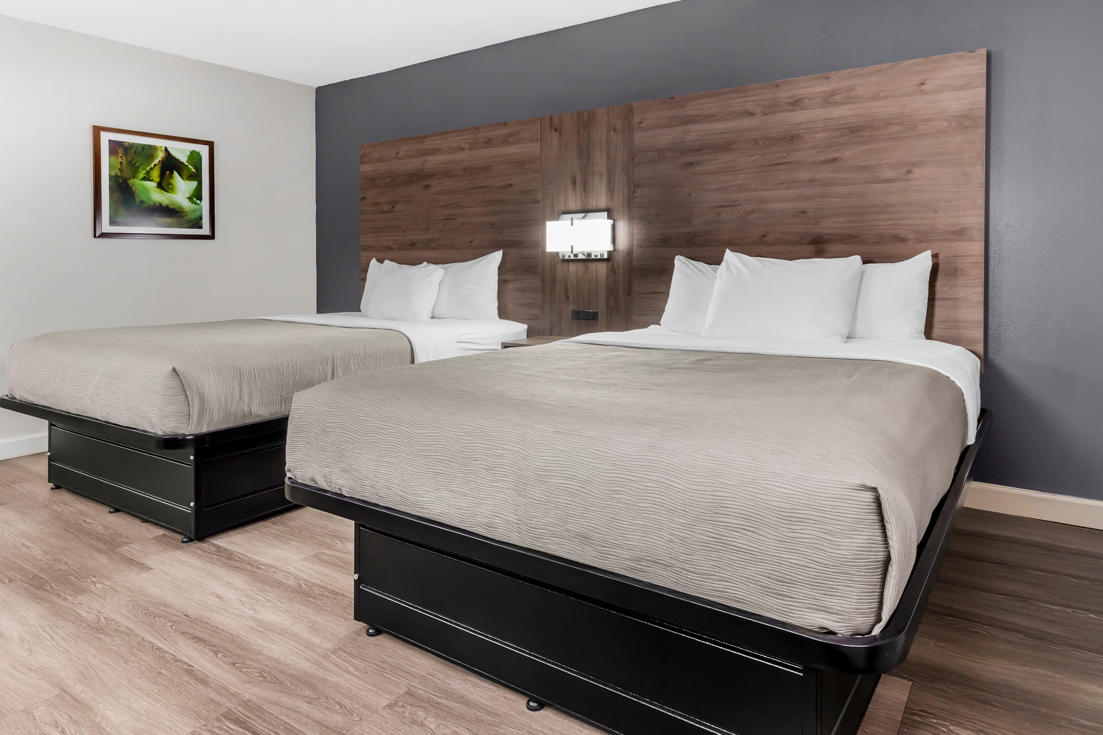Quality Inn & Suites Raleigh Durham Airport — 18