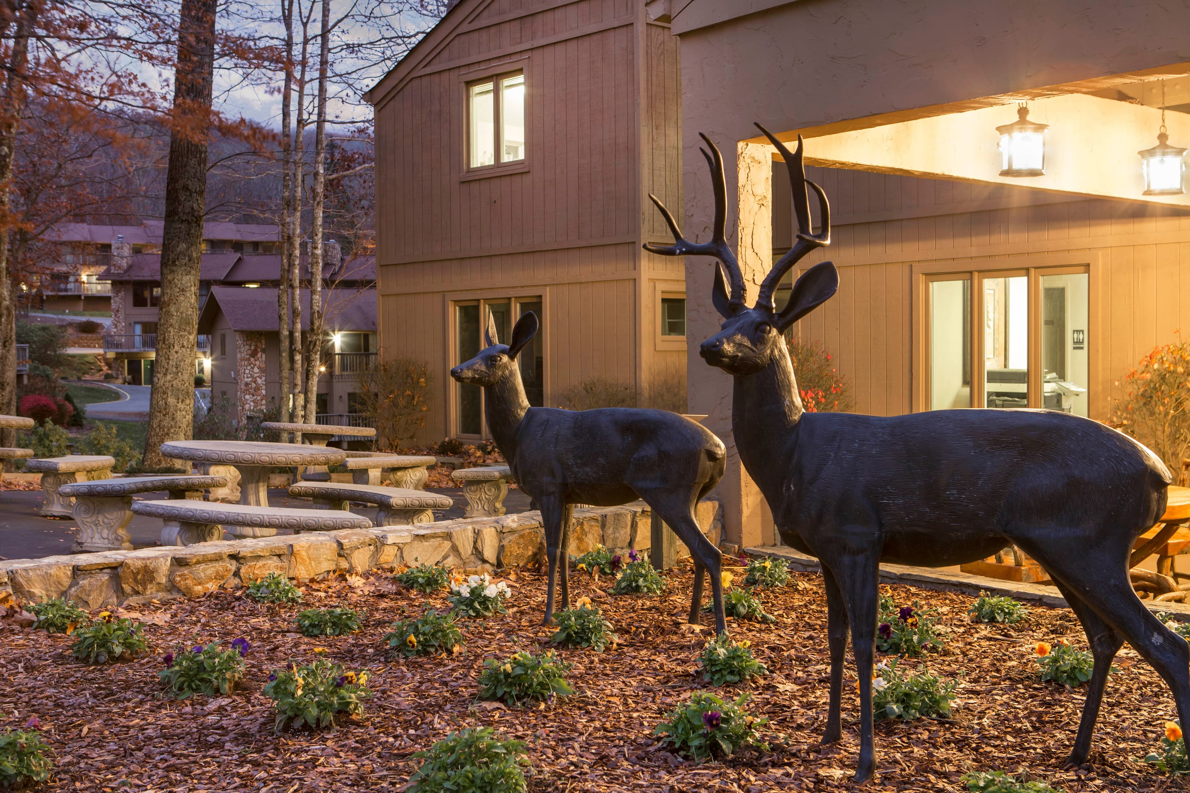 Bluegreen Vacations Blue Ridge Village, an Ascend Collection Resort - Image 1