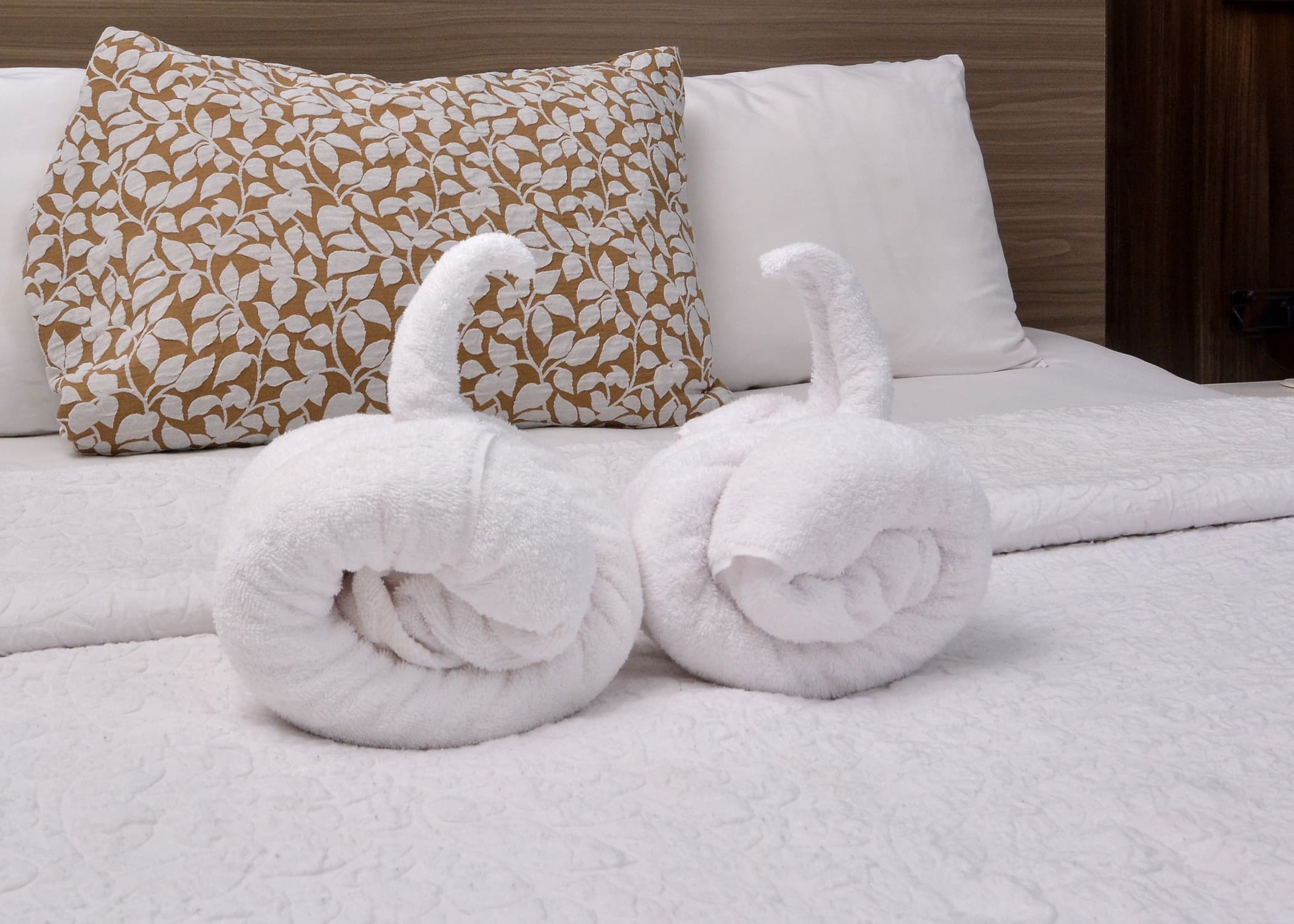 Brookstone Lodge near Biltmore Village, an Ascend Collection Hotel — 4