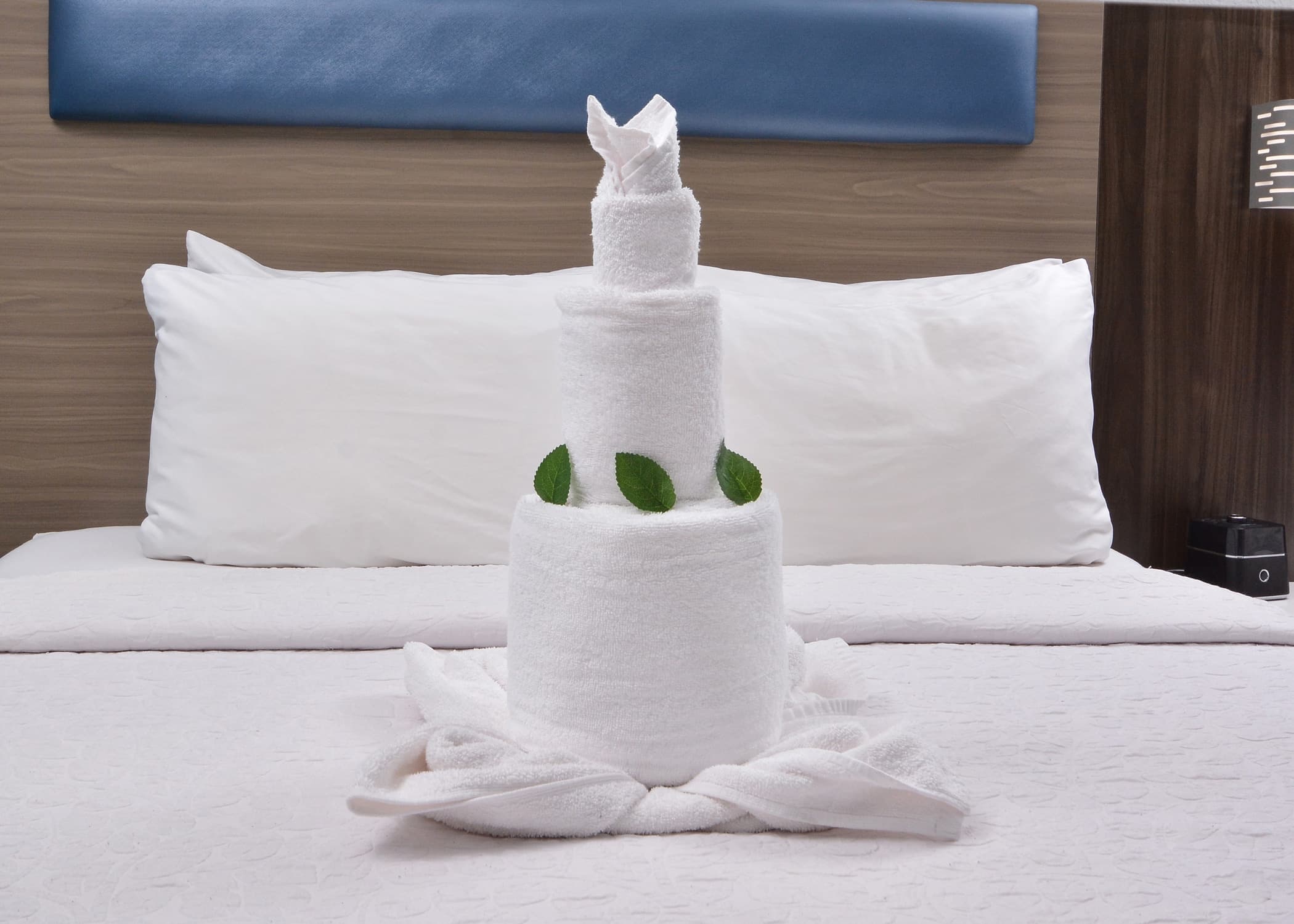 Brookstone Lodge near Biltmore Village, an Ascend Collection Hotel — 22