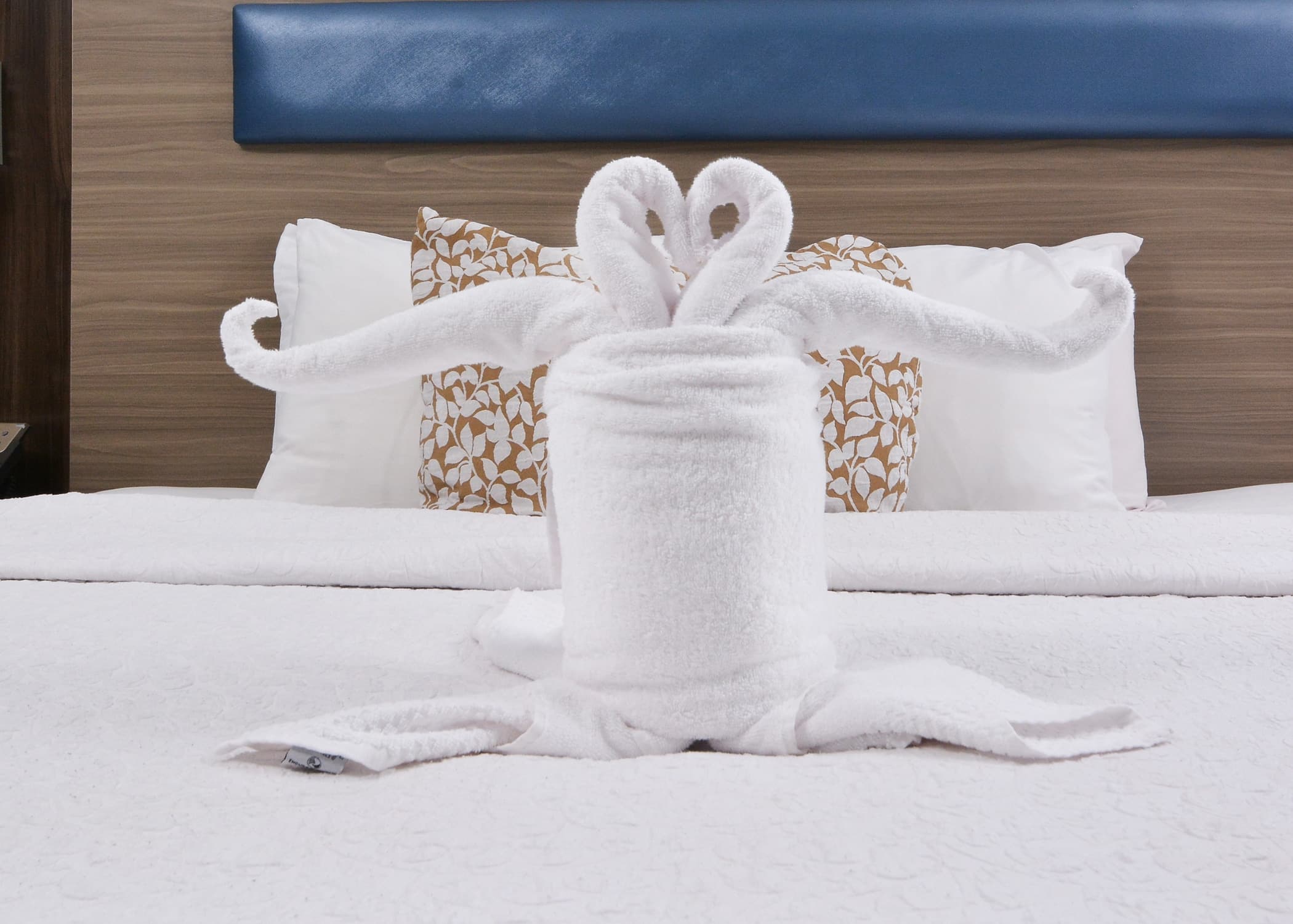 Brookstone Lodge near Biltmore Village, an Ascend Collection Hotel — 60