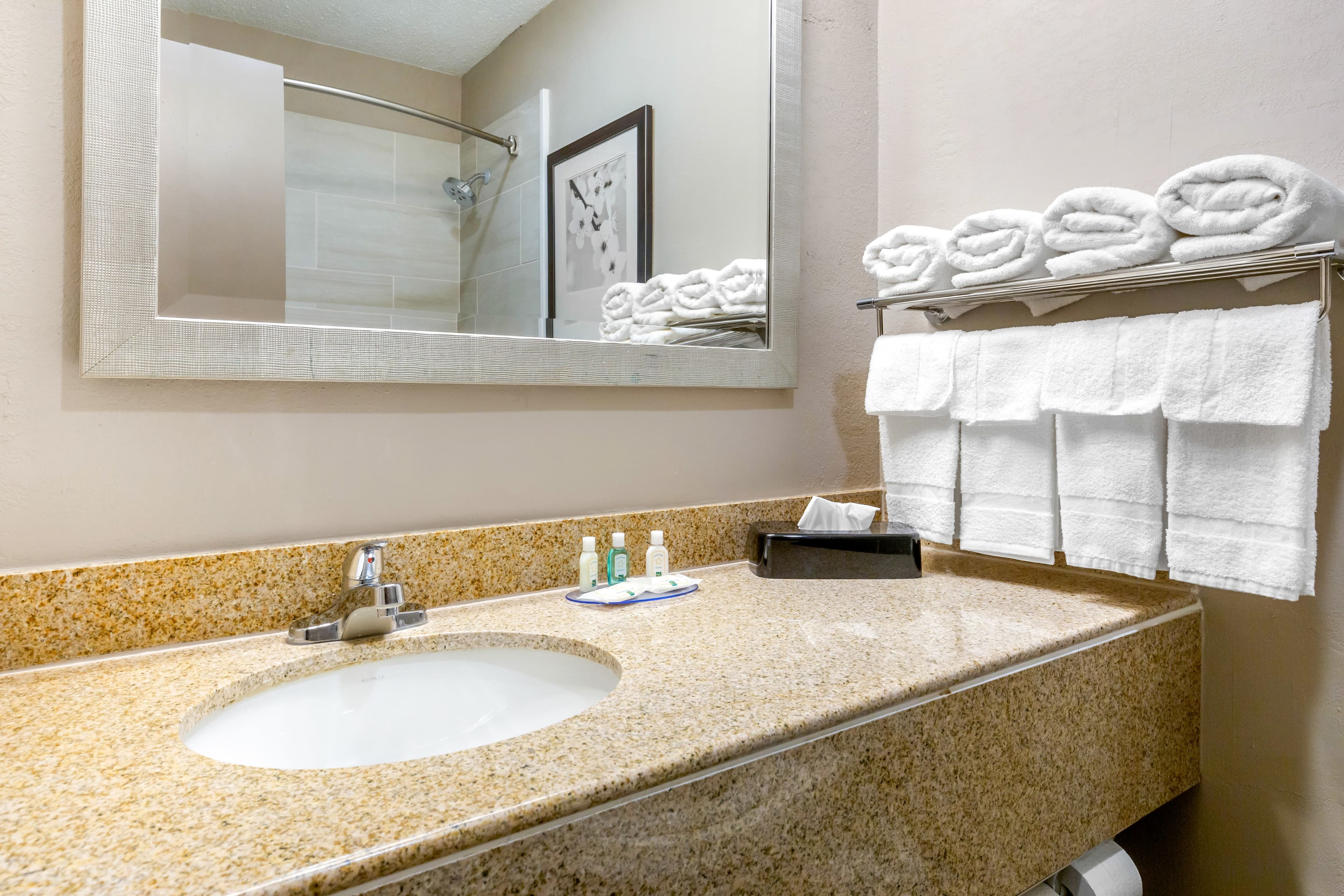 Quality Inn & Suites Apex-Holly Springs — 15