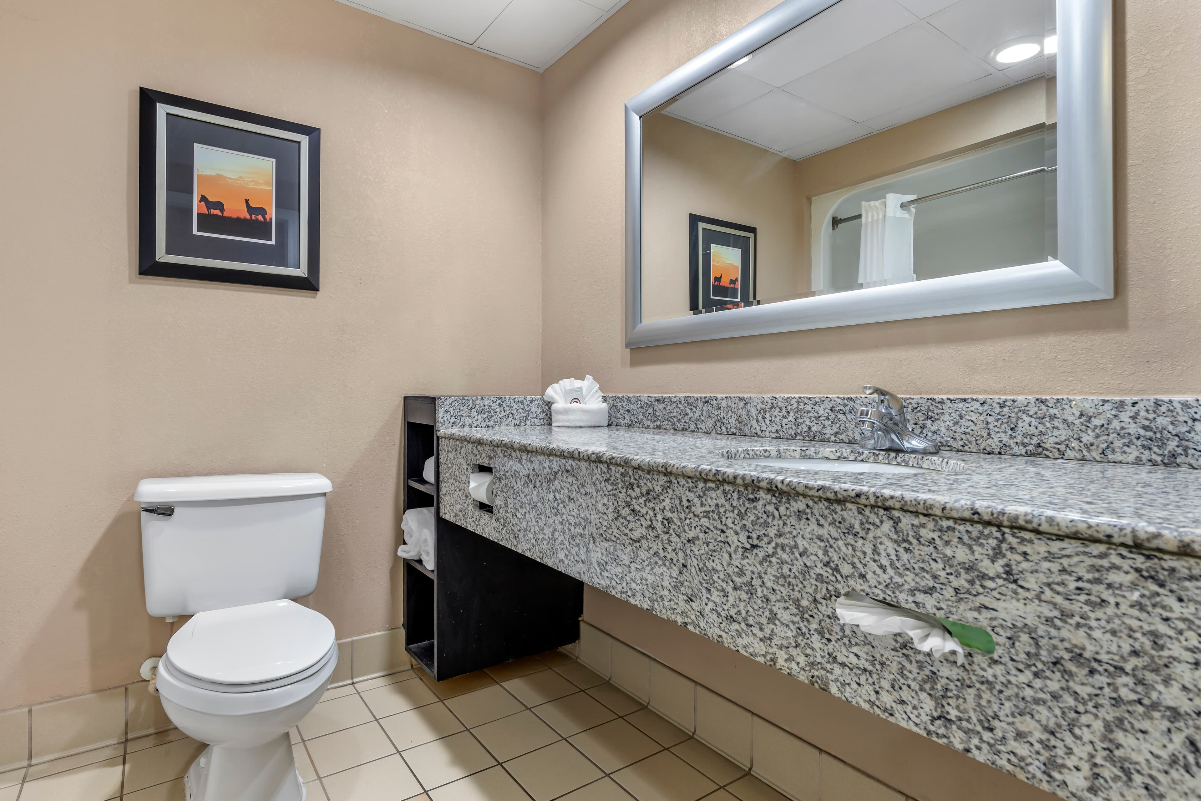 Comfort Inn & Suites Asheboro East — 16