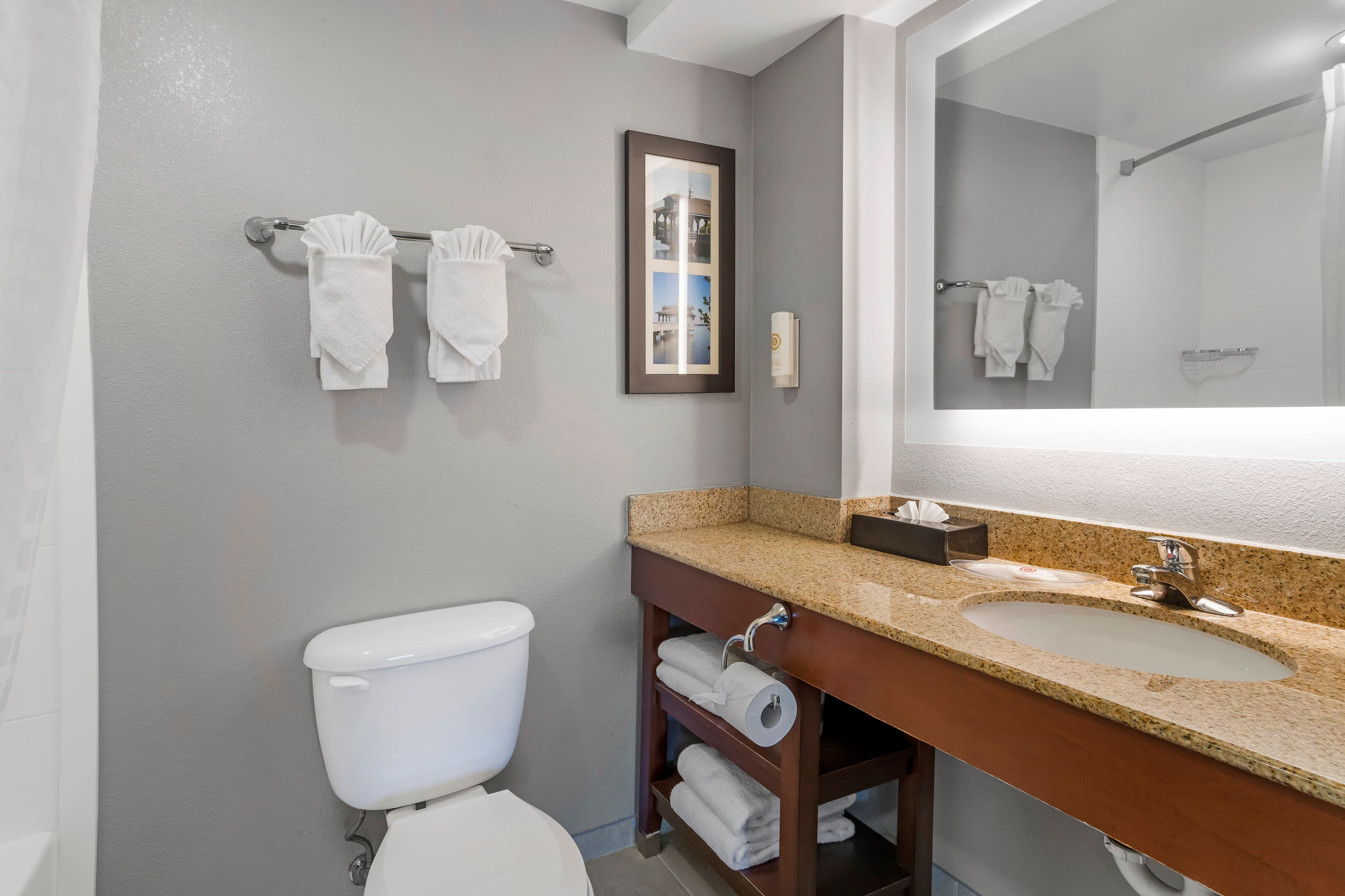 Comfort Suites near Birkdale Village- Huntersville — 23