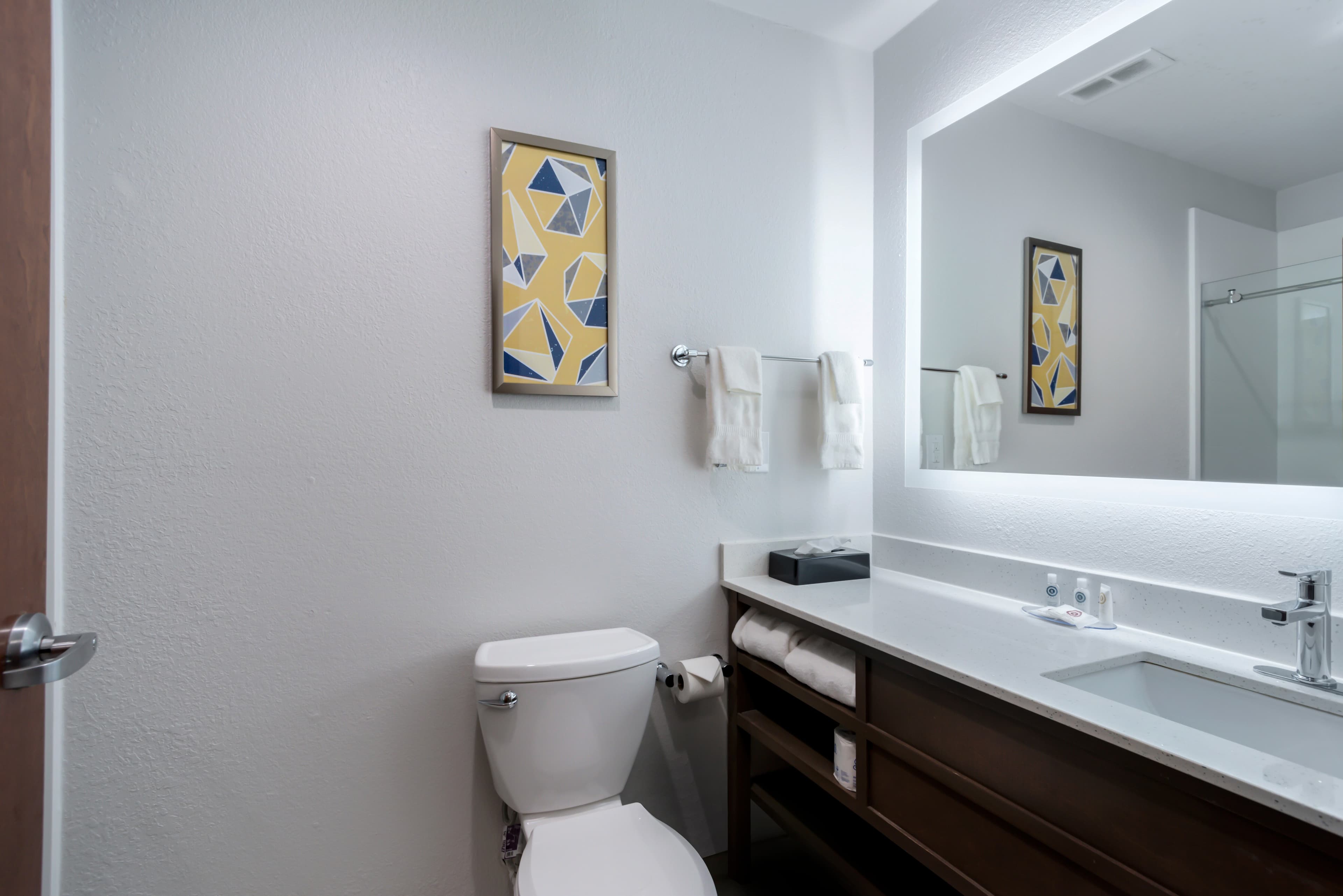 Comfort Inn & Suites Lexington South — 21